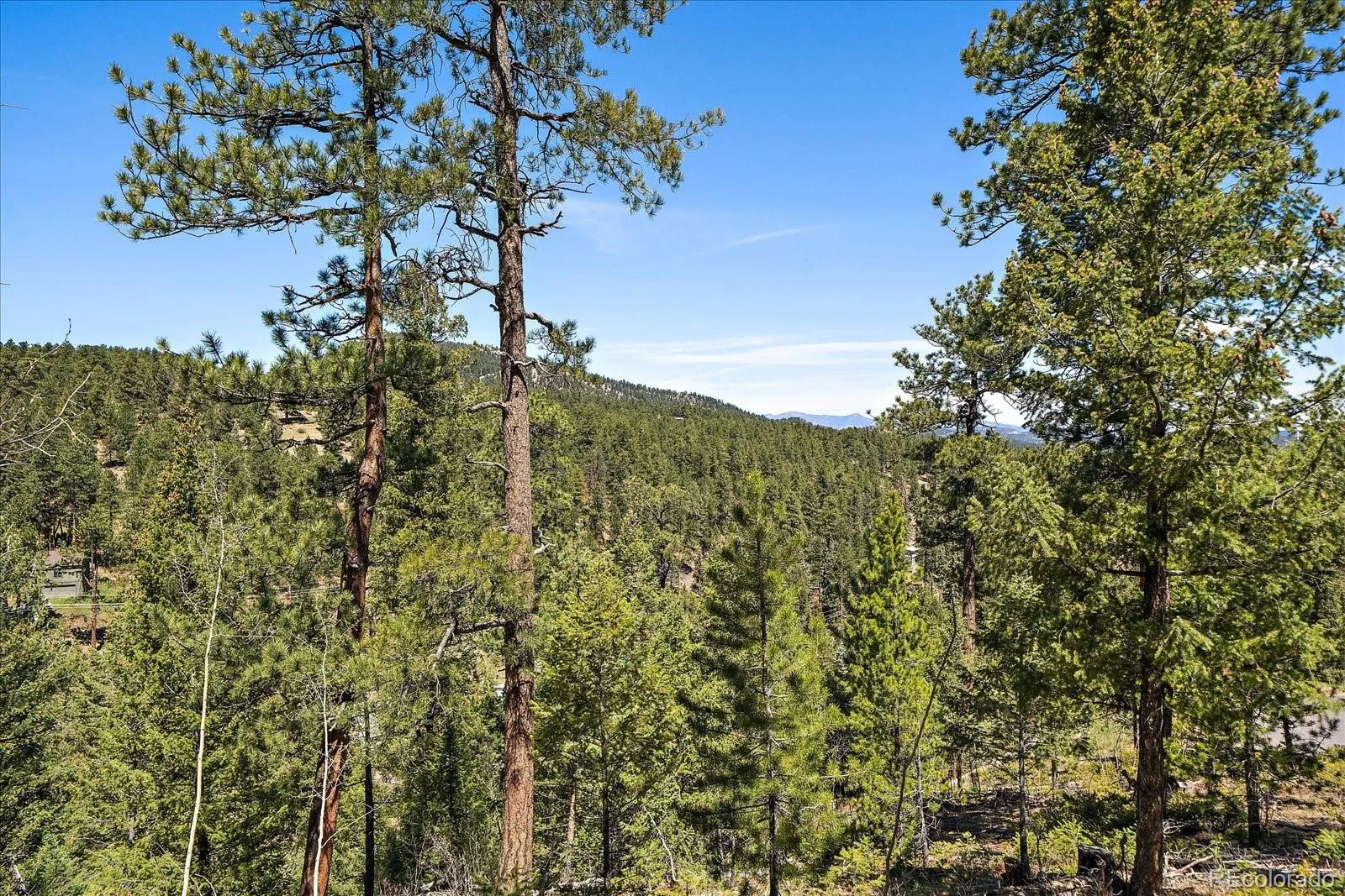 6855 Lynx Lair Road Evergreen CO 80439 | MLS #REC6200095 07282026164555 1600 15