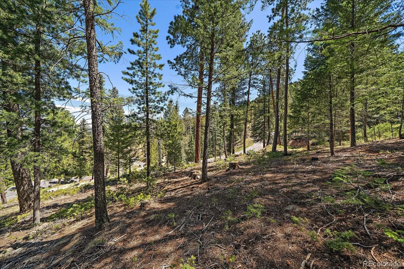 6855 Lynx Lair Road Evergreen CO 80439 | MLS #REC6200095 07282026164555 1600 17