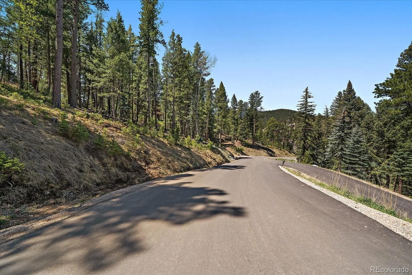 6855 Lynx Lair Road Evergreen CO 80439 | MLS #REC6200095 07282026164555 1600 4