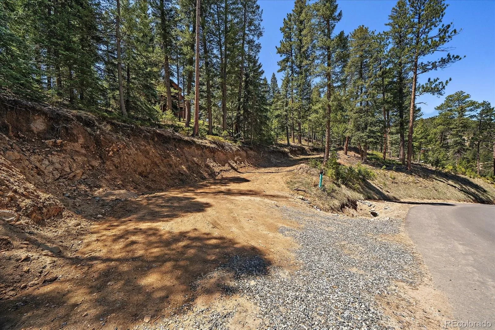 6855 Lynx Lair Road Evergreen CO 80439 | MLS #REC6200095 07282026164555 1600 8