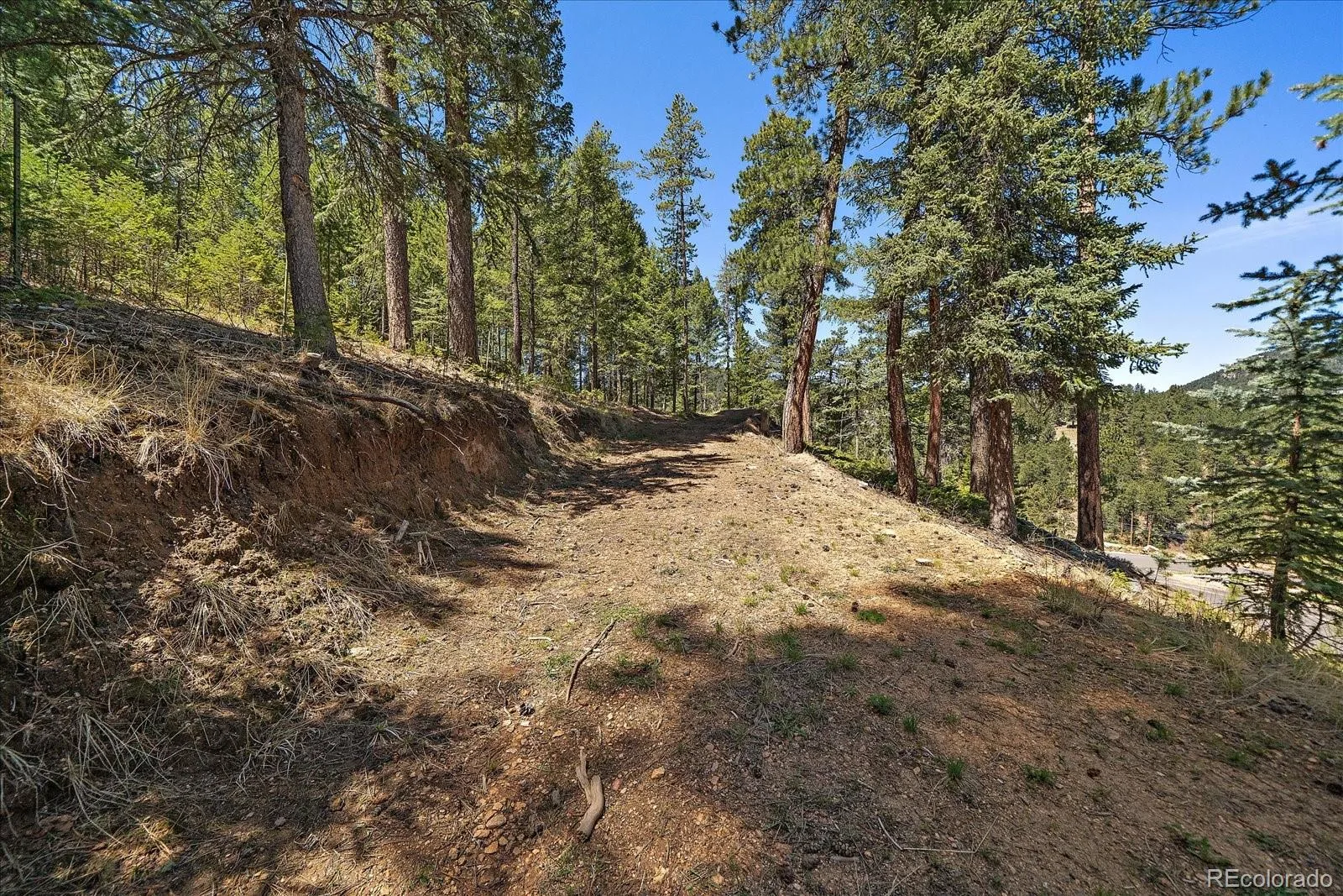 6855 Lynx Lair Road Evergreen CO 80439 | MLS #REC6200095 07282026164555 1600 9