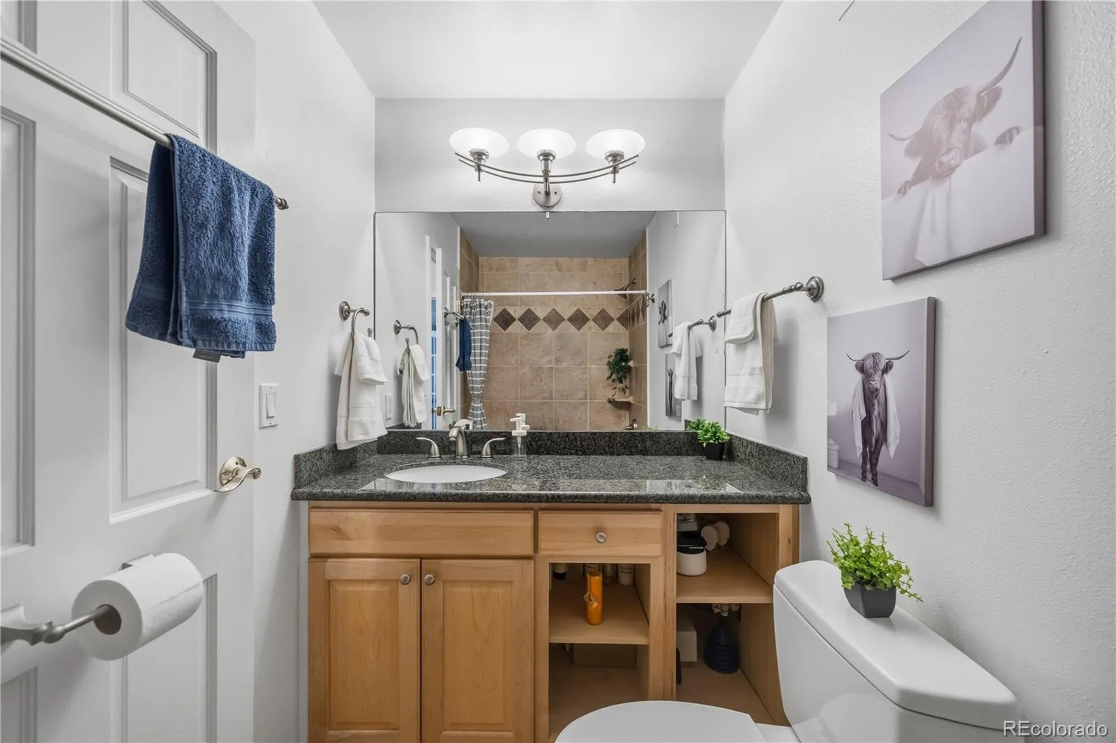 1625 Larimer Street #1007 Denver CO 80202 | MLS #REC6206416 10082026192129 1600 13