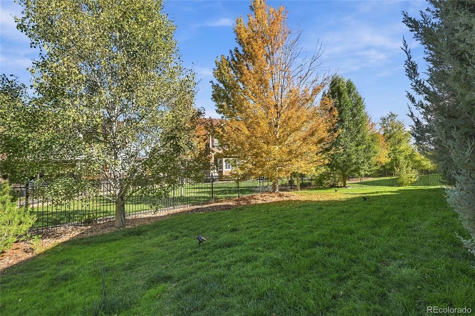 7660 S Blackstone Parkway Aurora CO 80016 | MLS #REC6211030 10162026231931 1600 38