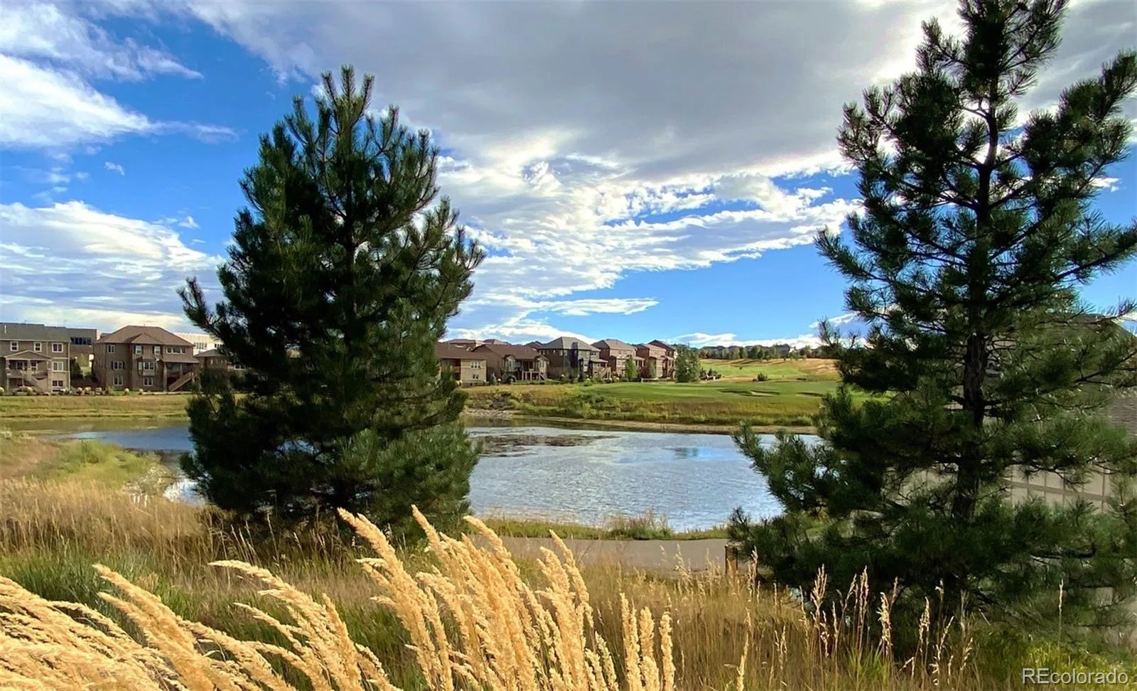 7660 S Blackstone Parkway Aurora CO 80016 | MLS #REC6211030 10162026231931 1600 45