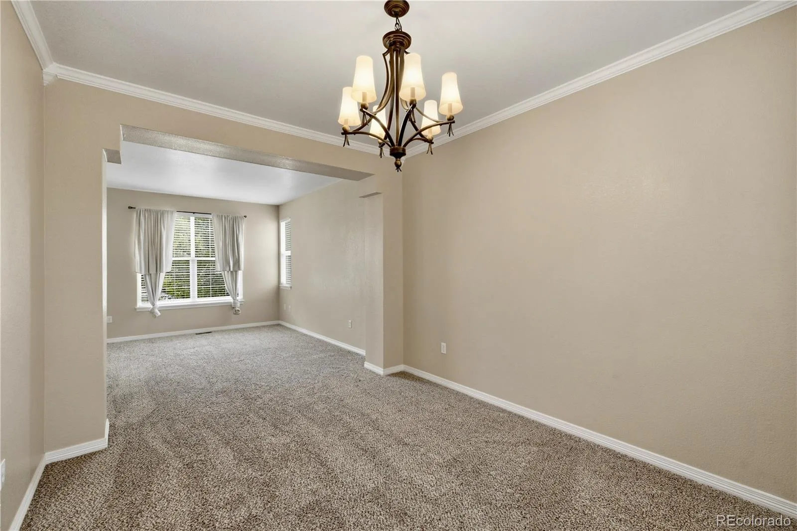 10781 Vista Road Parker CO 80138 | MLS #REC6211320 07142026202652 1600 19