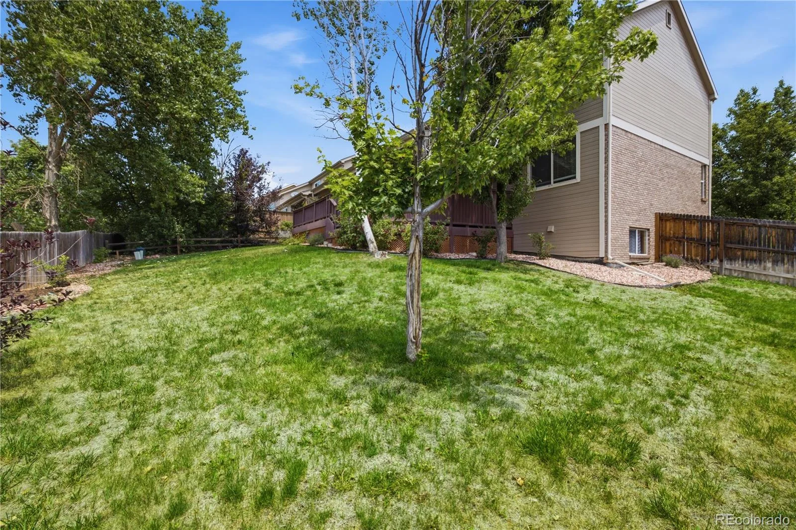 10781 Vista Road Parker CO 80138 | MLS #REC6211320 07142026202652 1600 38