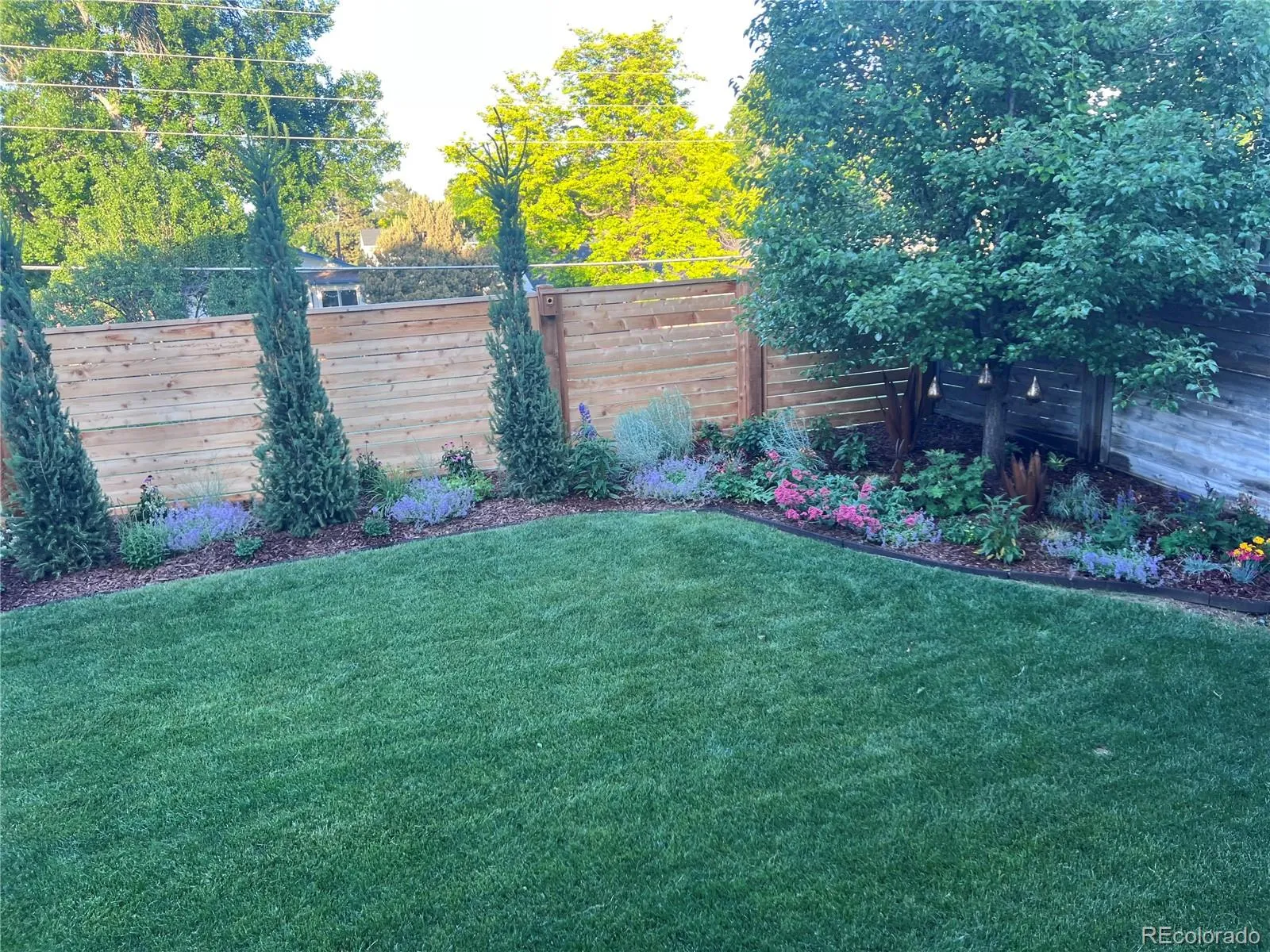 04142026181417 1600 31