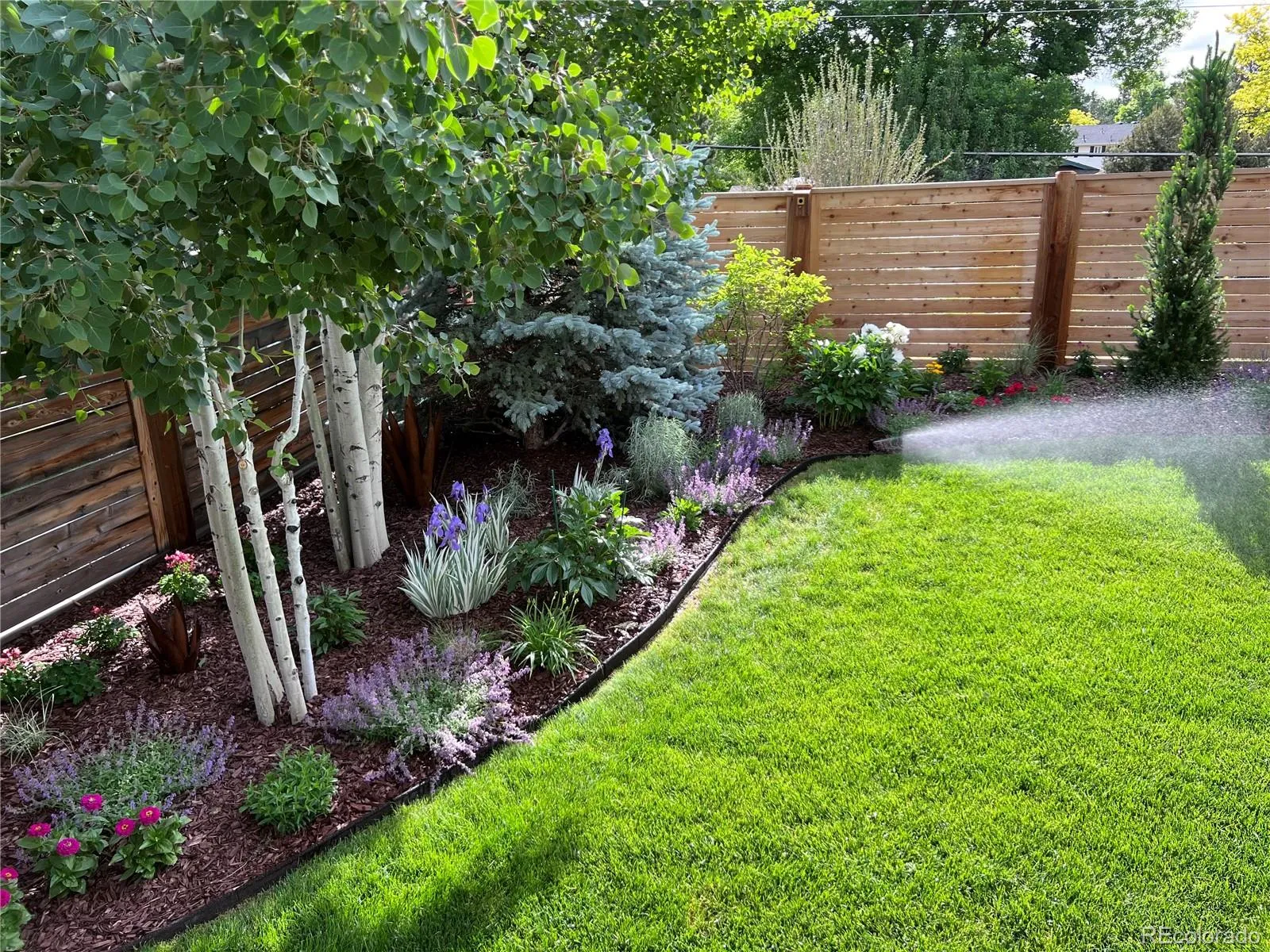 04142026181417 1600 33