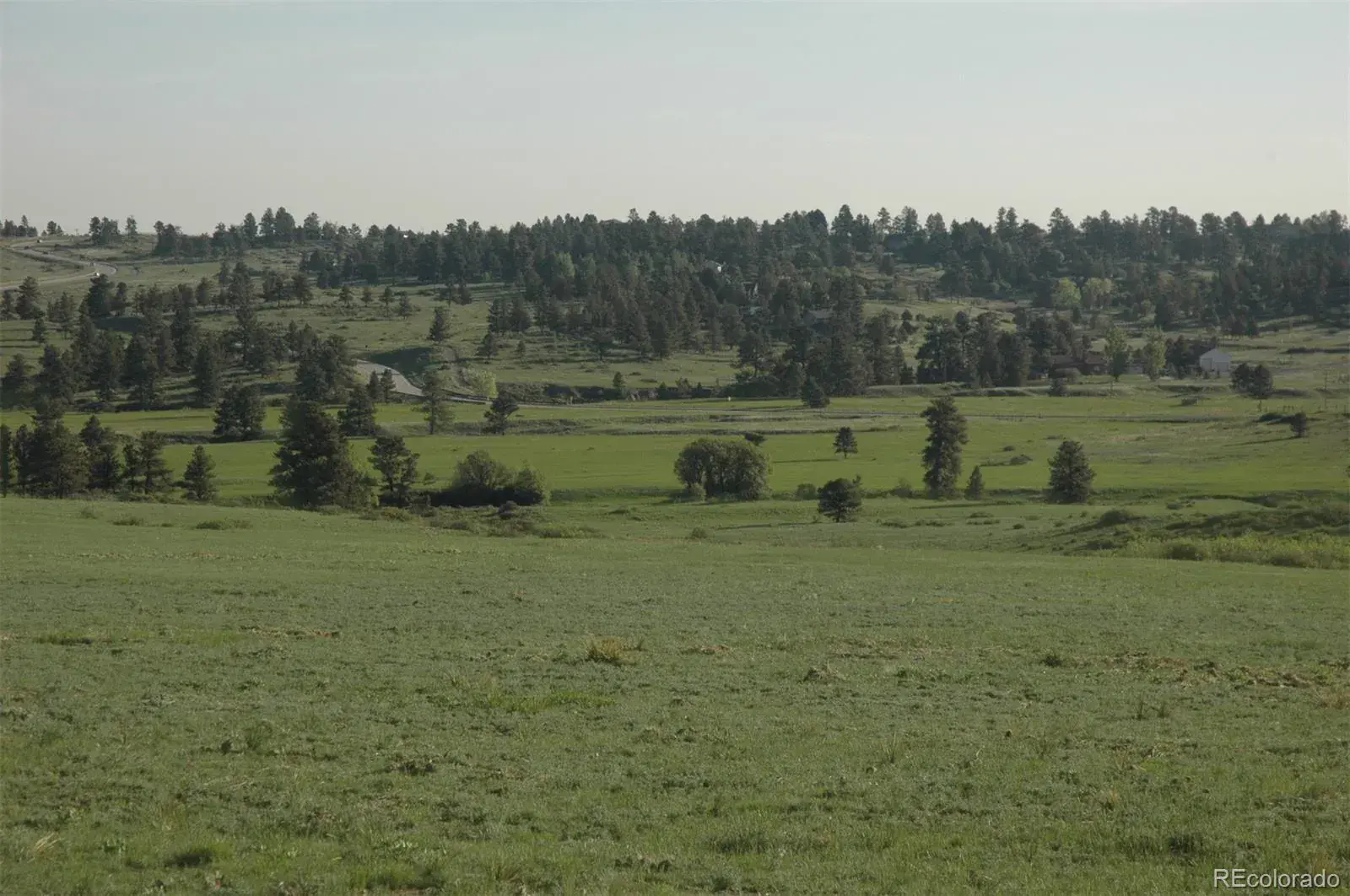 Betts Ranch Road Parker CO 80134 | MLS #REC6216352 01142026043646 1600 2