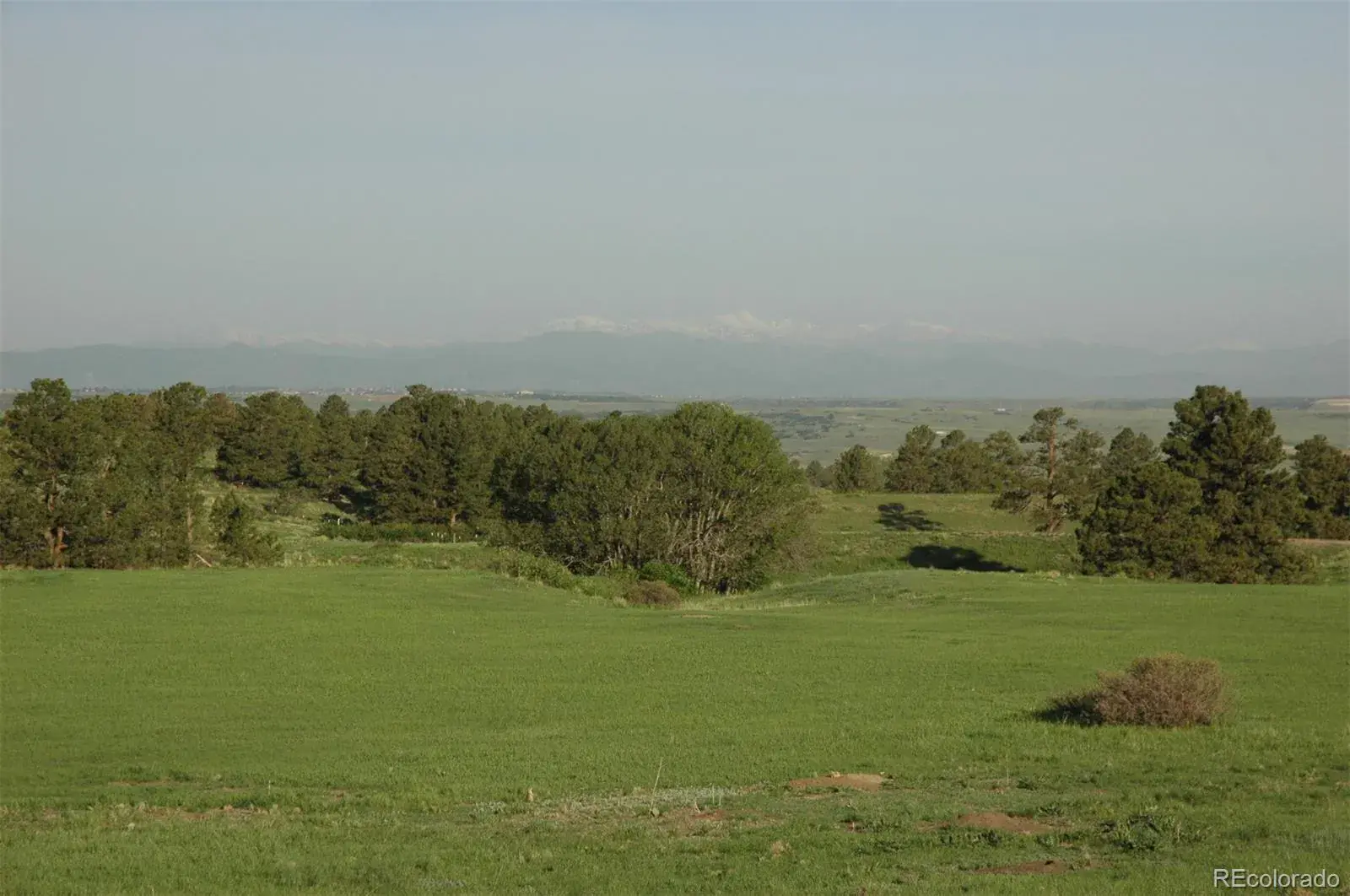Betts Ranch Road Parker CO 80134 | MLS #REC6216352 01142026043646 1600 3