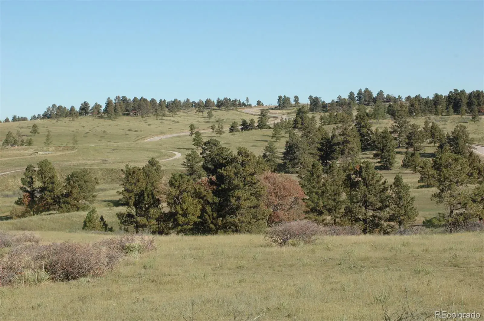Betts Ranch Road Parker CO 80134 | MLS #REC6216352 01142026043646 1600 4