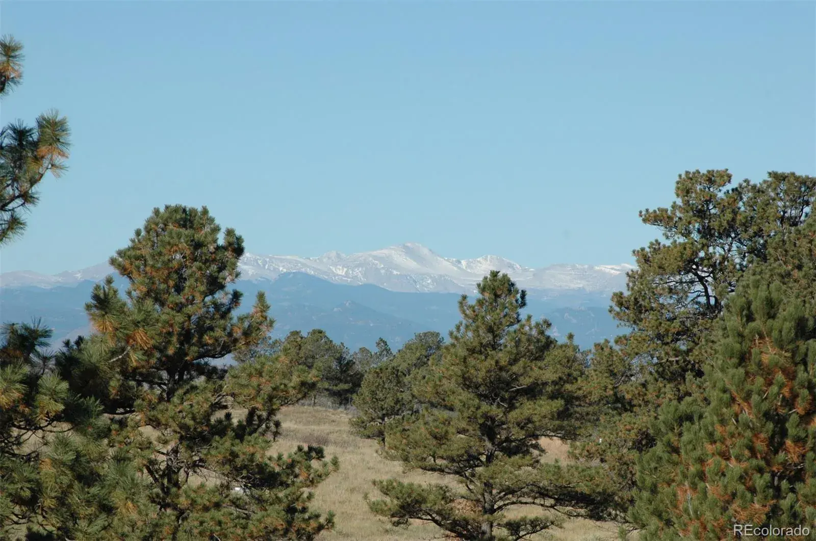 Betts Ranch Road Parker CO 80134 | MLS #REC6216352 01142026043646 1600 9