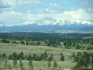 Betts Ranch Road Parker CO 80134 | MLS #REC6216352 01142026043646 300 0