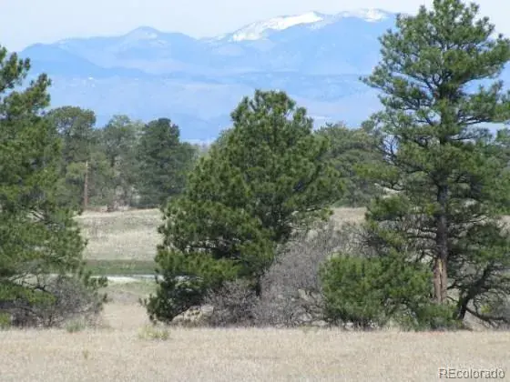Betts Ranch Road Parker CO 80134 | MLS #REC6216352 01142026043646 560 1