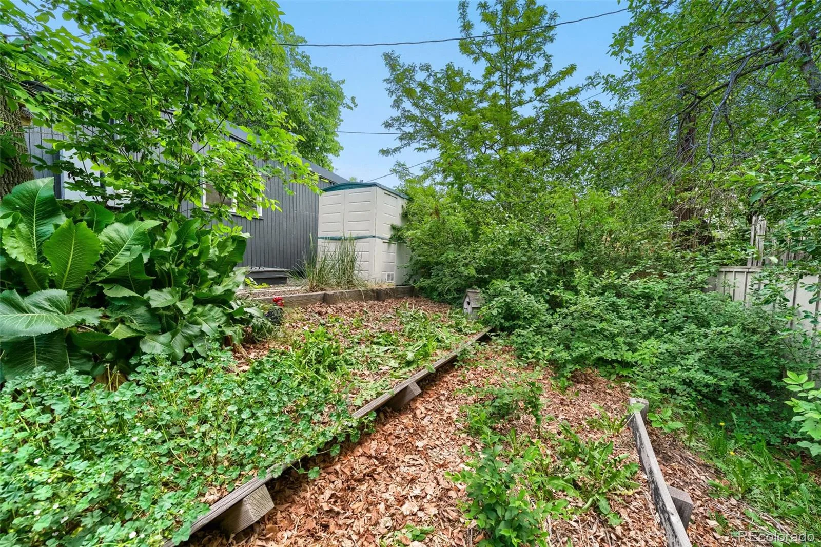 1860 S Holly Street Denver CO 80222 MLS #REC6221826 06022026184754 1600 28