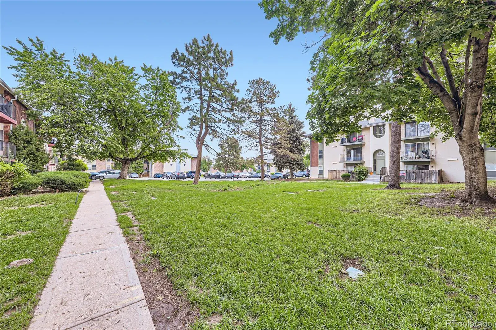 12131 Melody Drive #201 Denver CO 80234 | MLS #REC6224471 10082025160656 1600 24