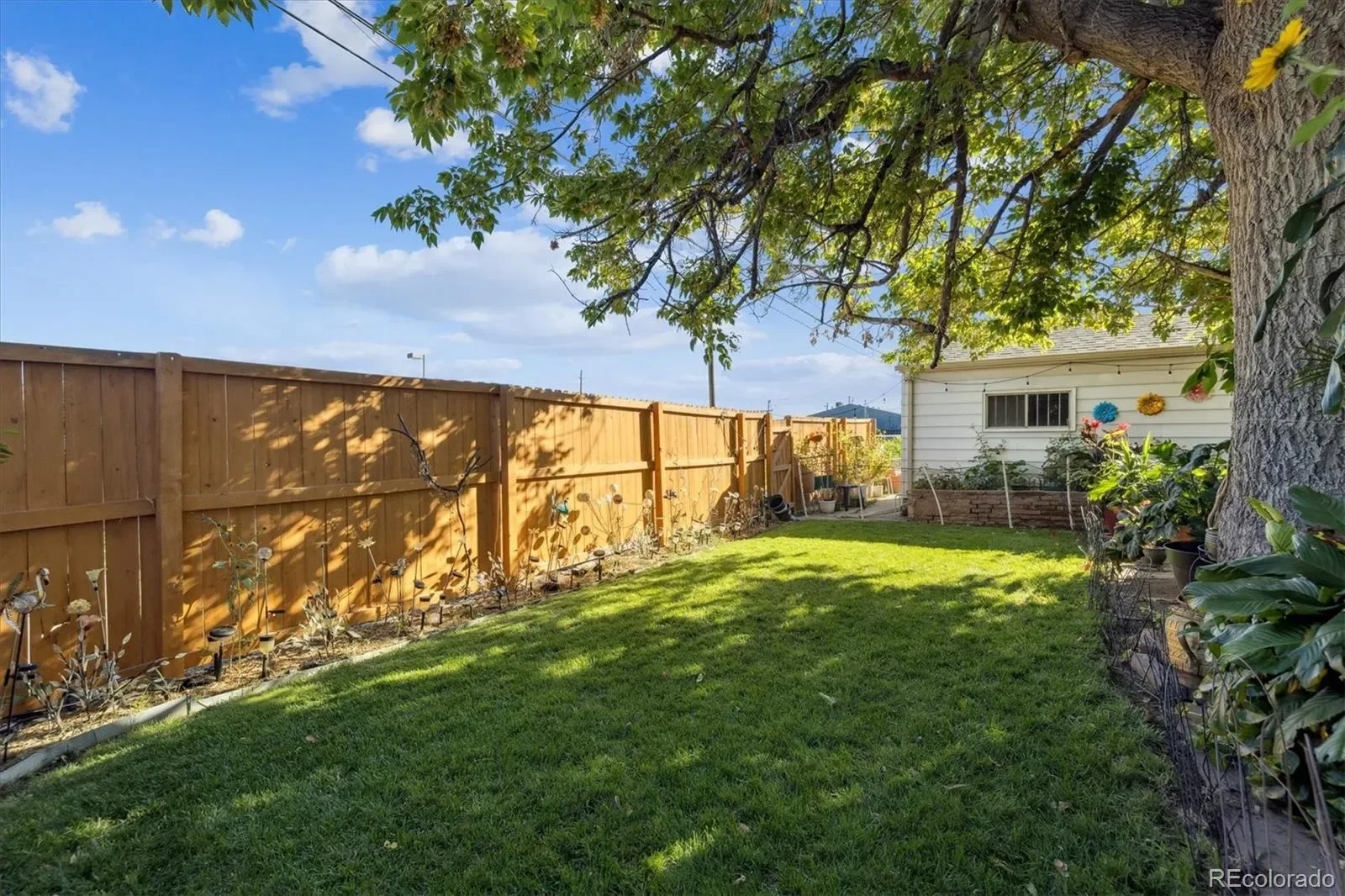 03302026225032 1600 13