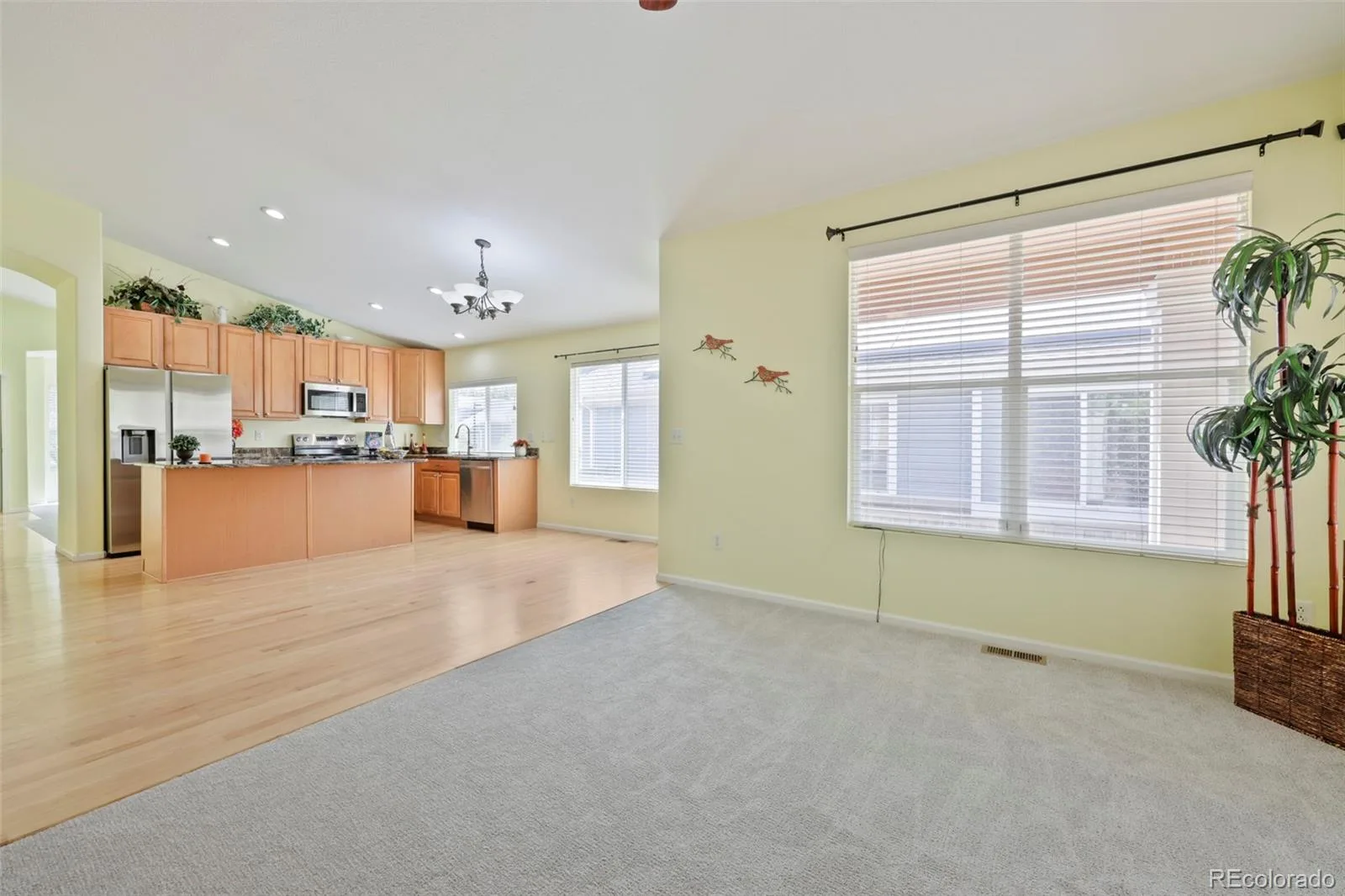 2035 Alpine Erie CO 80516 | MLS #REC6234405 08312026051405 1600 13