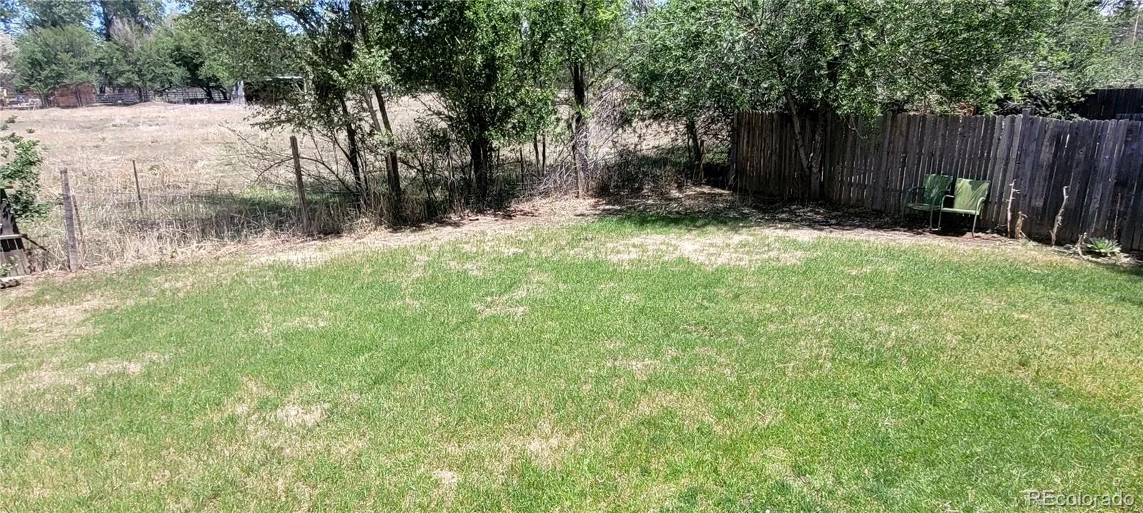 11101 W 45th Avenue Wheat Ridge CO 80033 MLS #REC6237114 05222026001130 1600 8