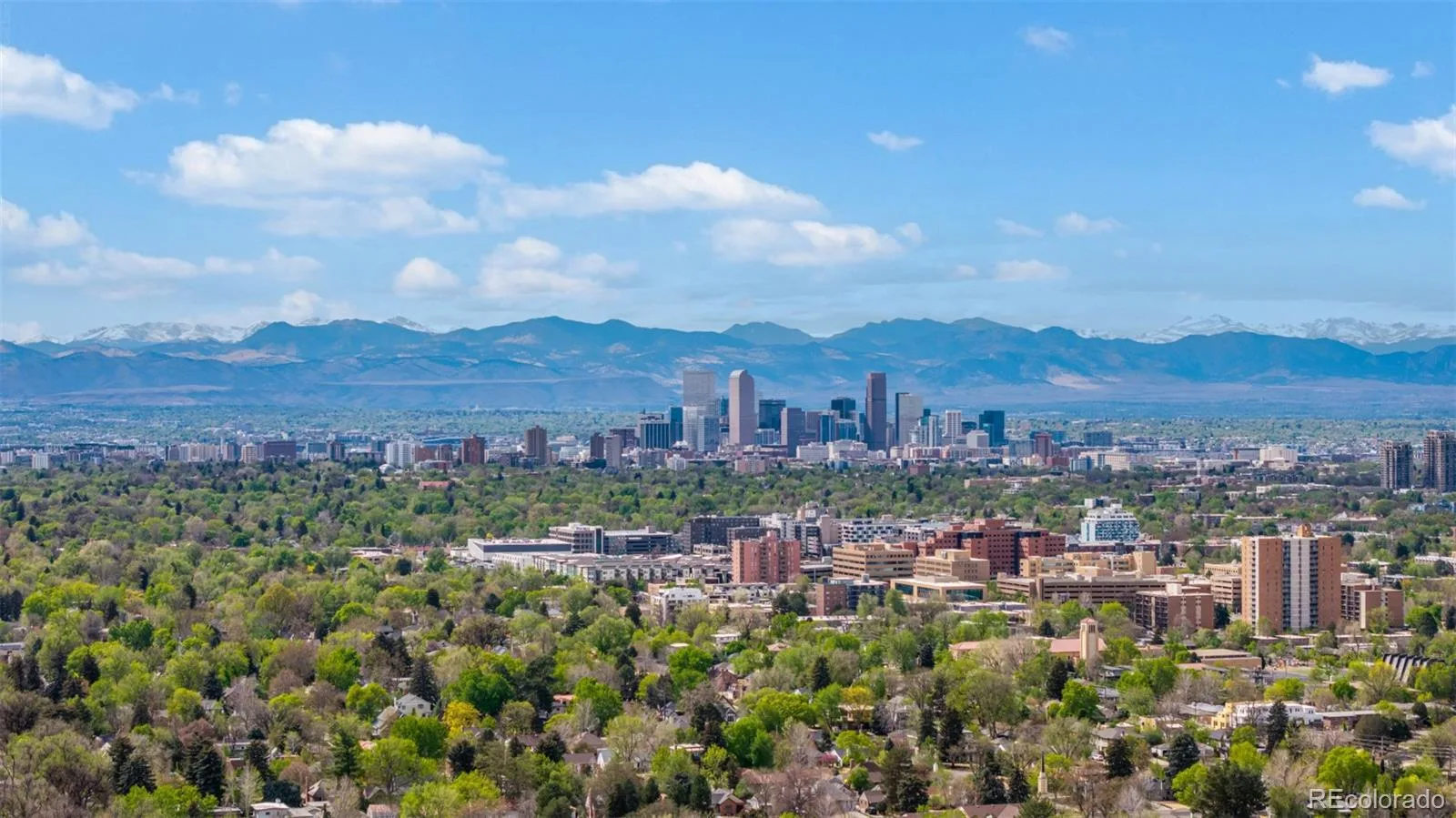 630 N Jersey Street Denver CO 80220 | MLS #REC6239750 09182026054024 1600 49