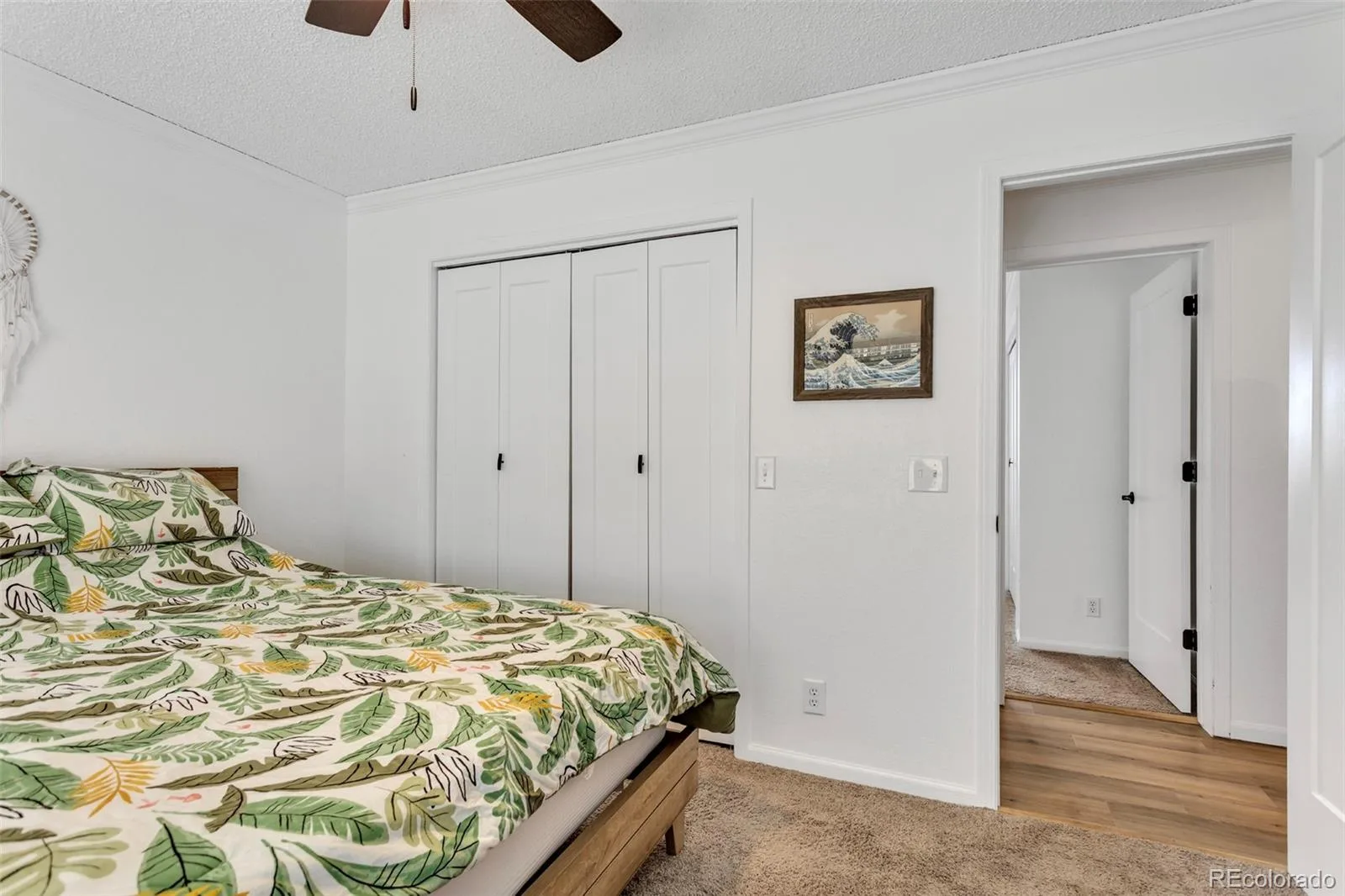 255 Divide View Drive Golden CO 80403 | MLS #REC6244031 07252026205603 1600 22