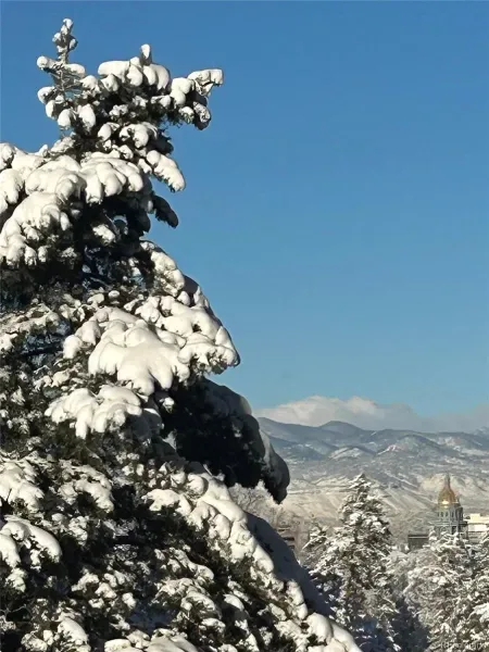 03112026231512 800 46