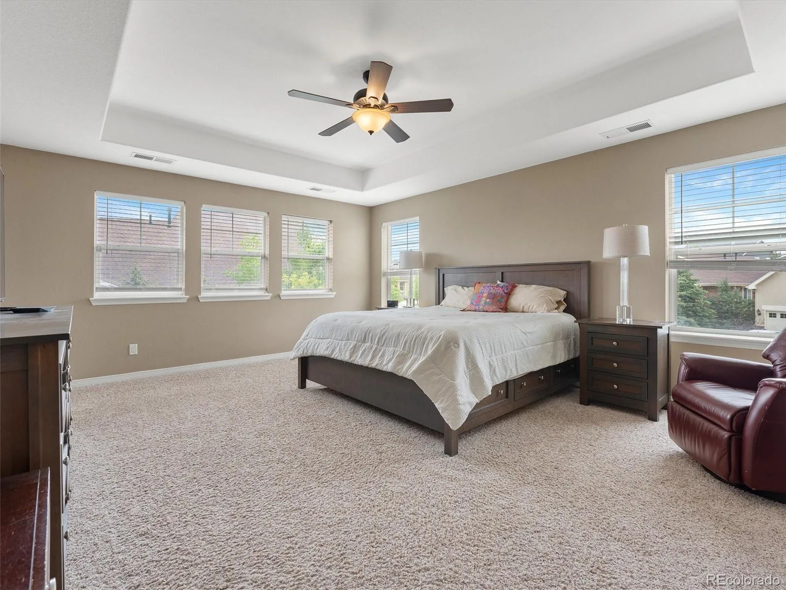 3919 Desert Ridge Circle Castle Rock CO 80108 | MLS #REC6251122 07152026081208 1600 12