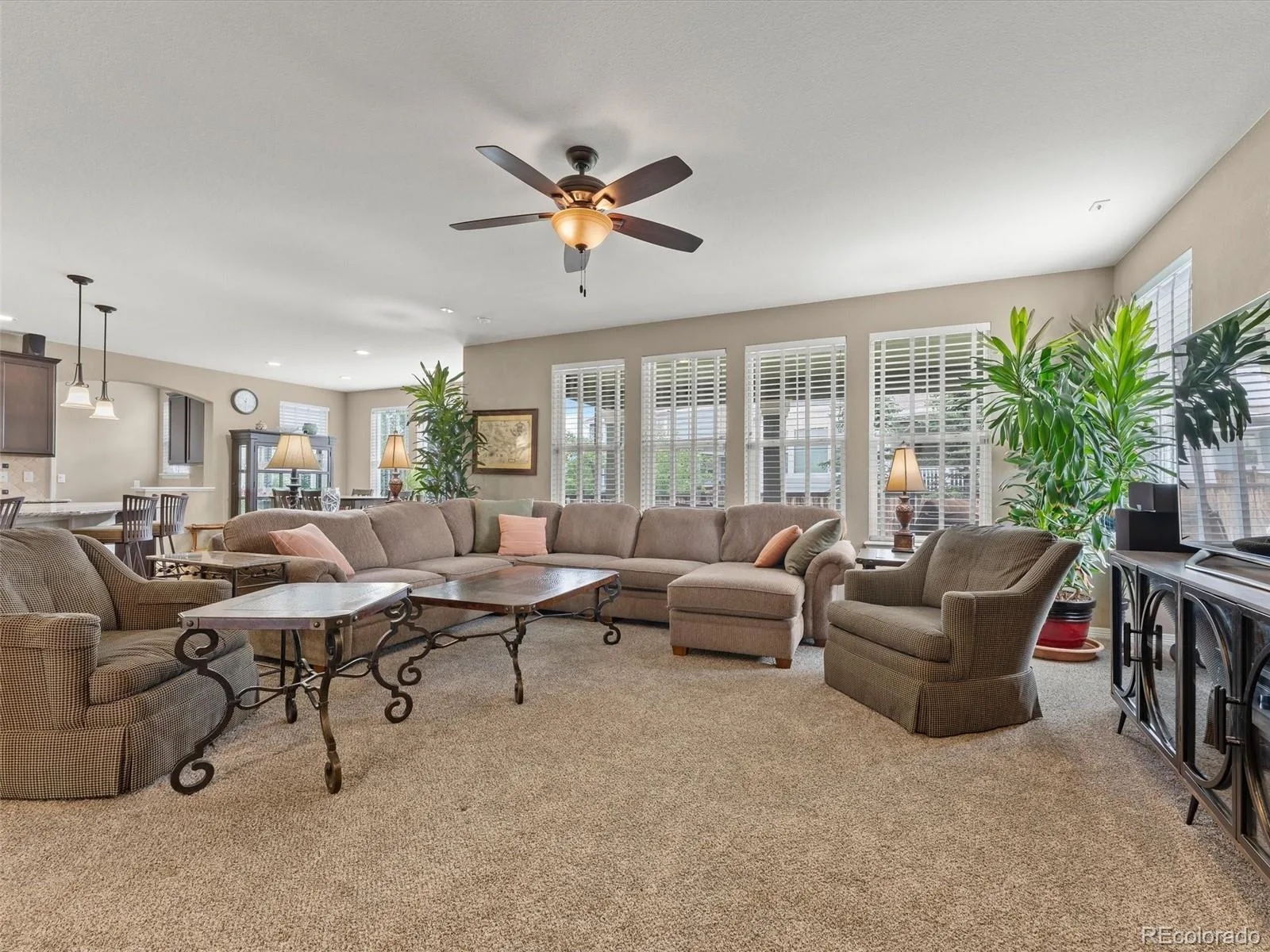 3919 Desert Ridge Circle Castle Rock CO 80108 | MLS #REC6251122 07152026081208 1600 6
