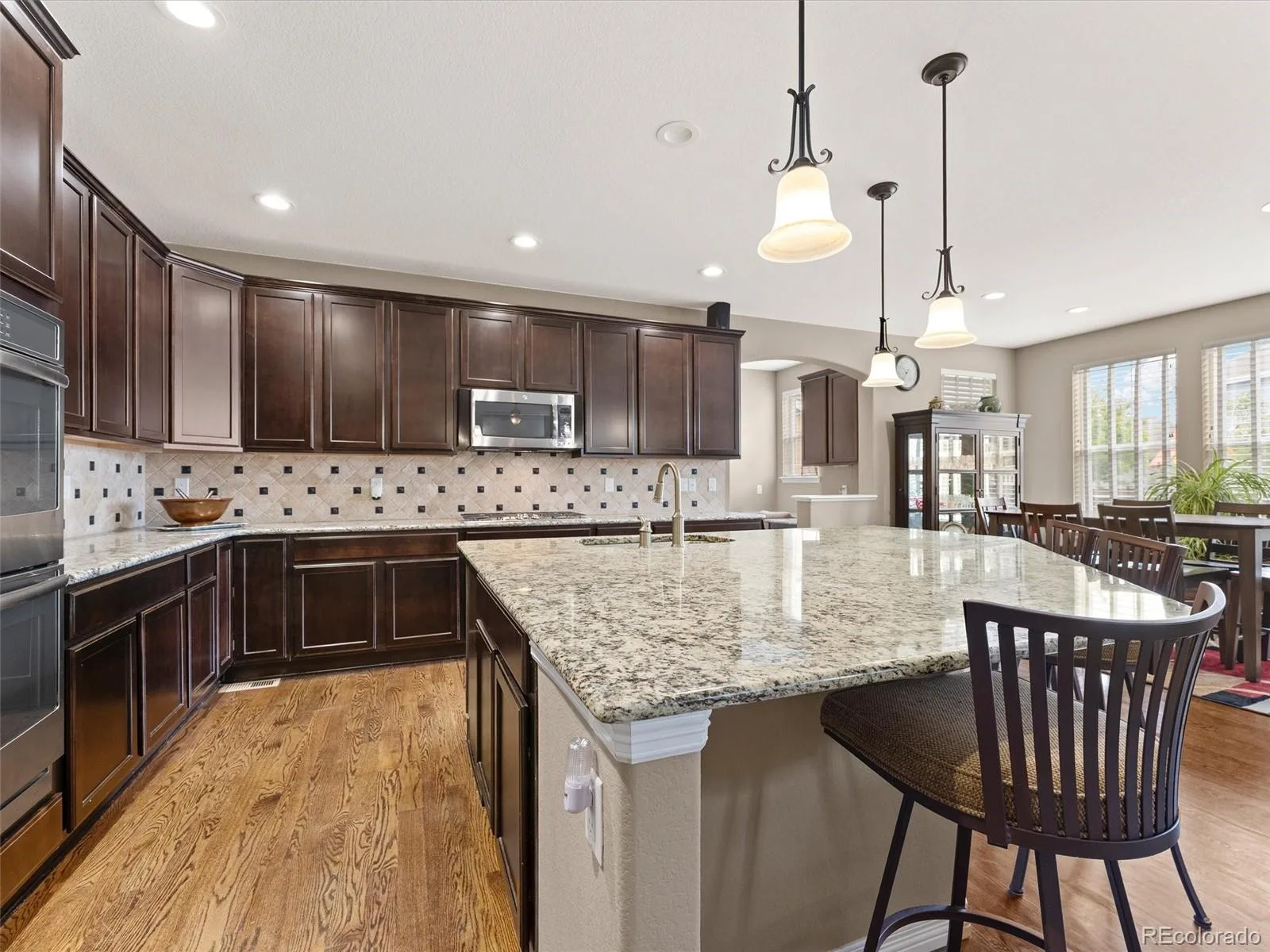 3919 Desert Ridge Circle Castle Rock CO 80108 | MLS #REC6251122 07152026081208 1600 8
