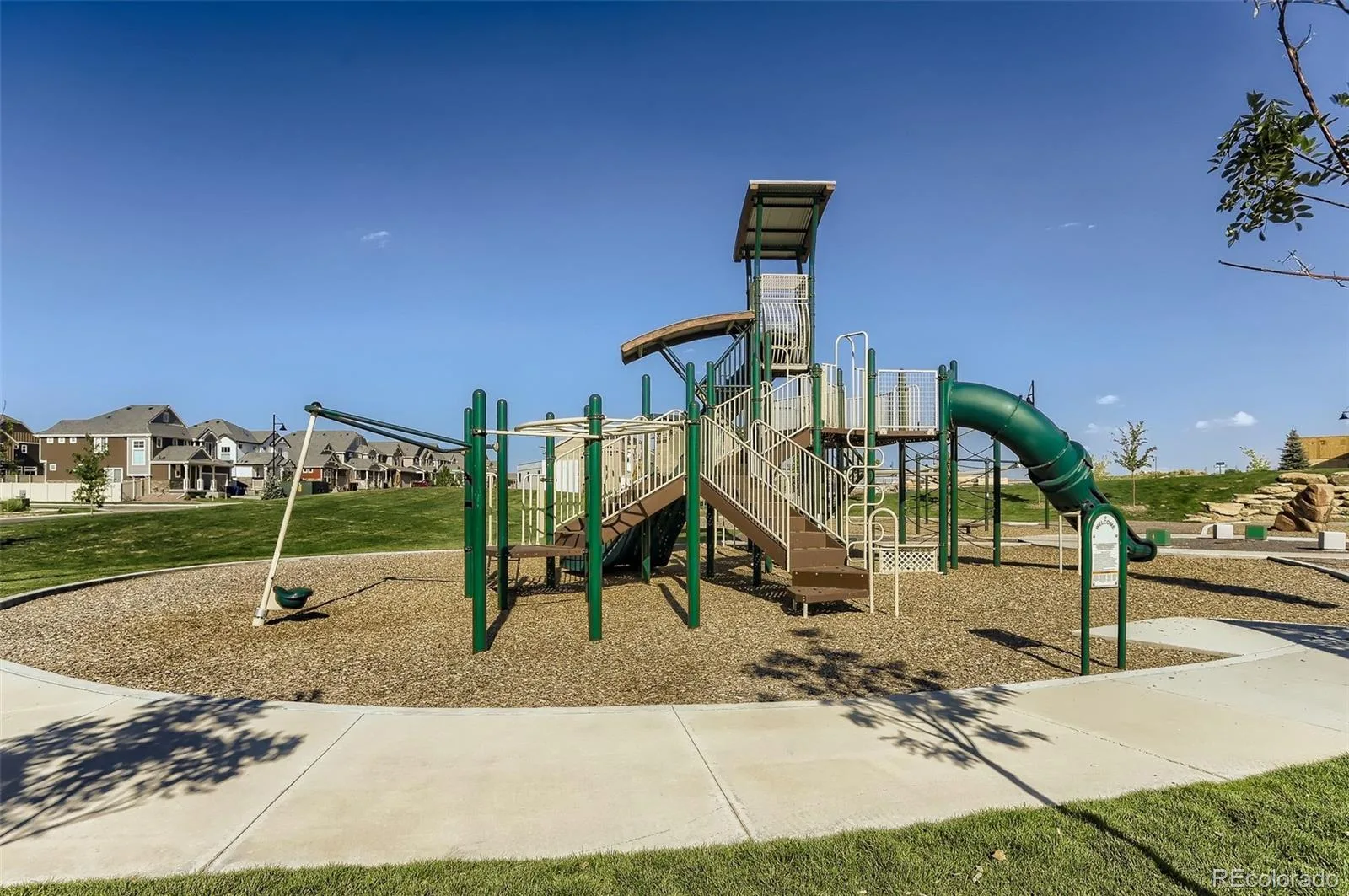 111 Magnolia Court Erie CO 80516 | MLS #REC6253729 08062026155842 1600 26