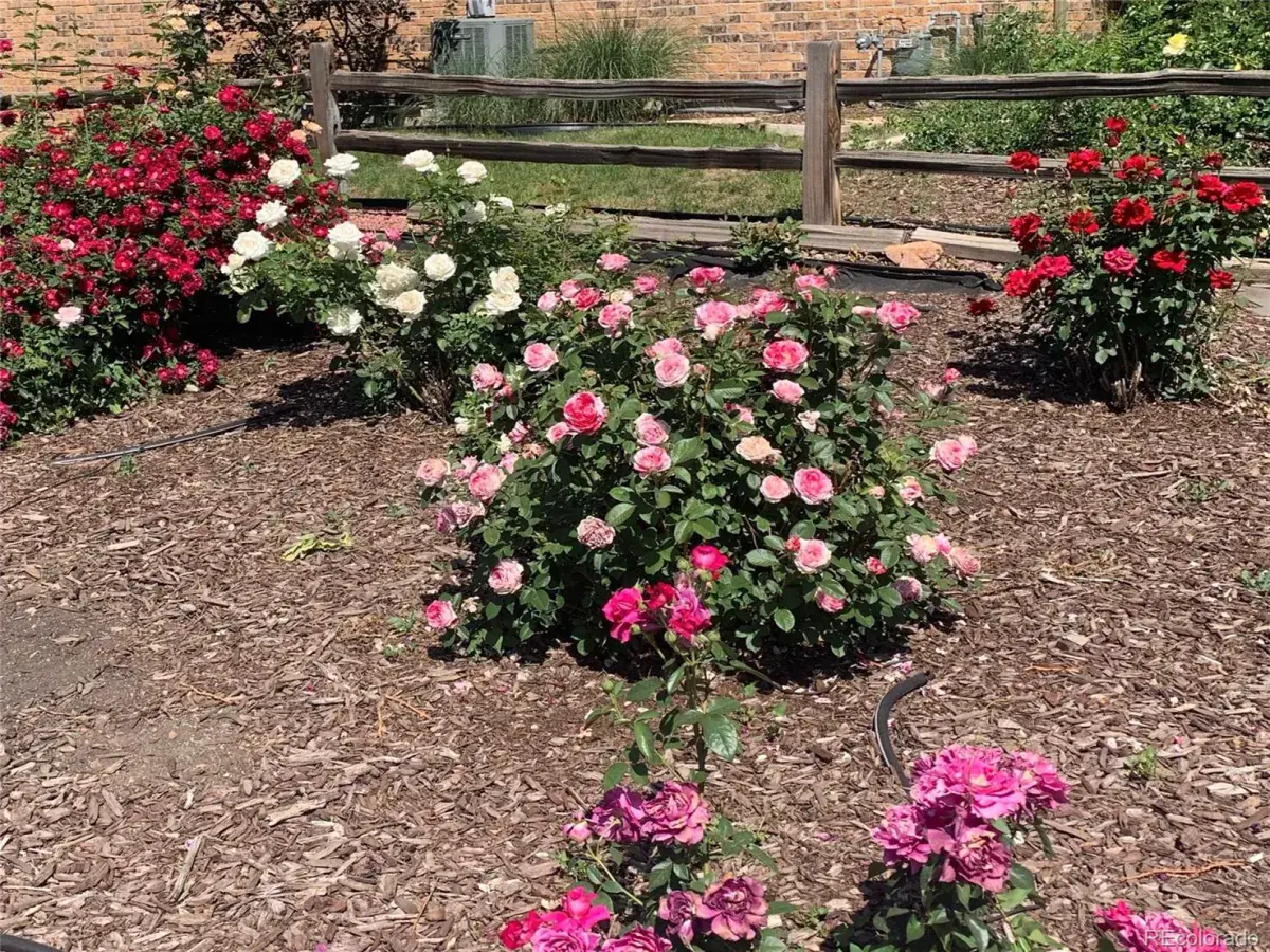 03052026041532 1200 27