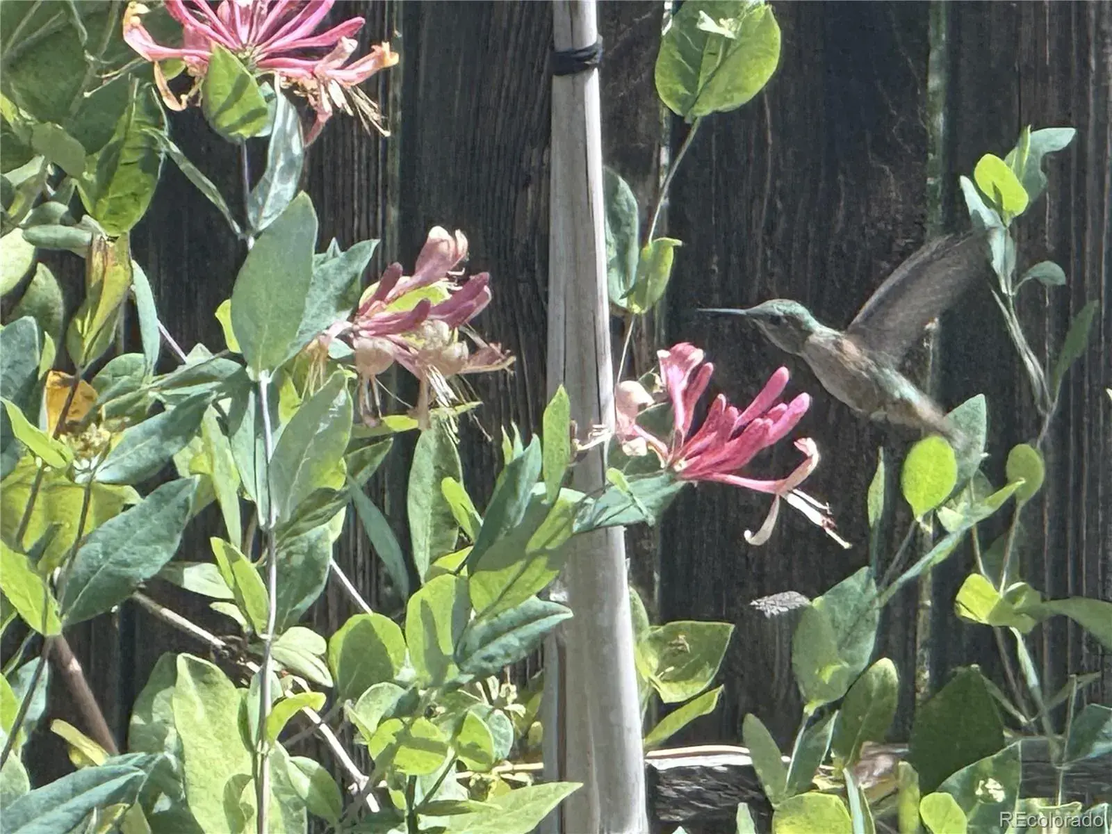 03052026041532 1600 29