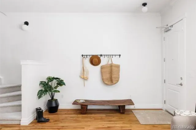 03132026051515 640 3