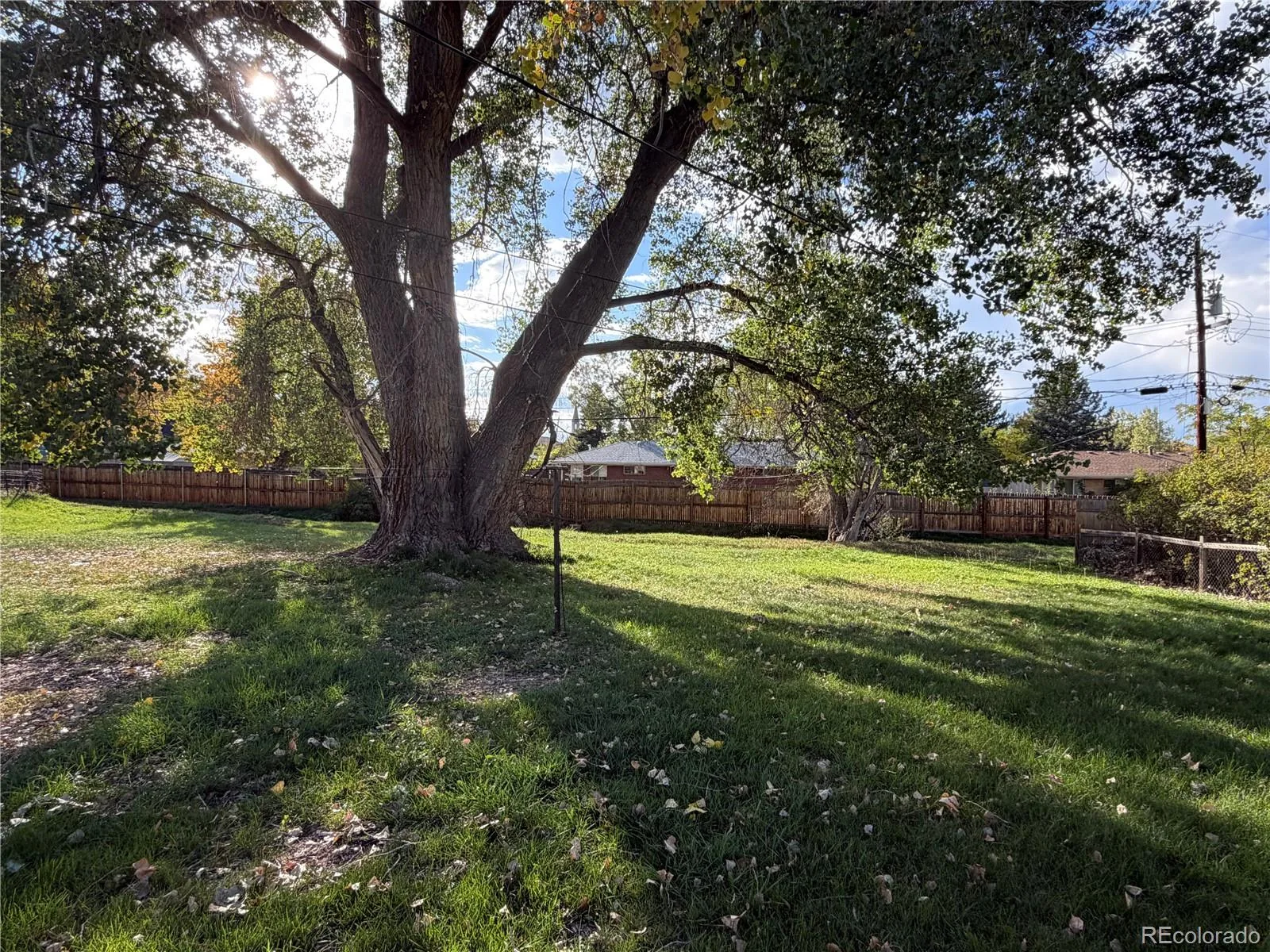10152026195428 1600 1