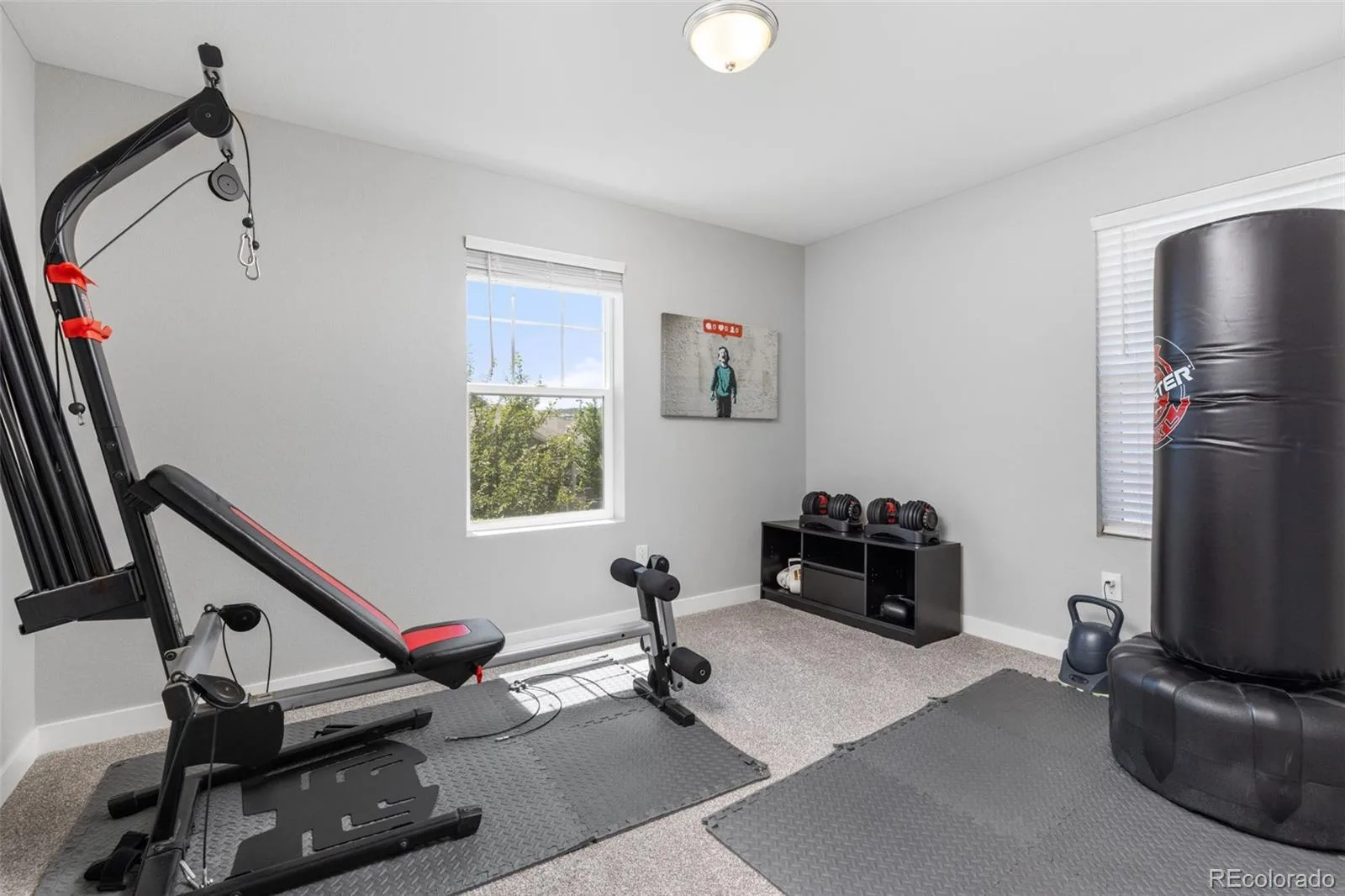 4232 Forever Circle Castle Rock CO 80109 MLS #REC6257251 07152026164241 1600 20