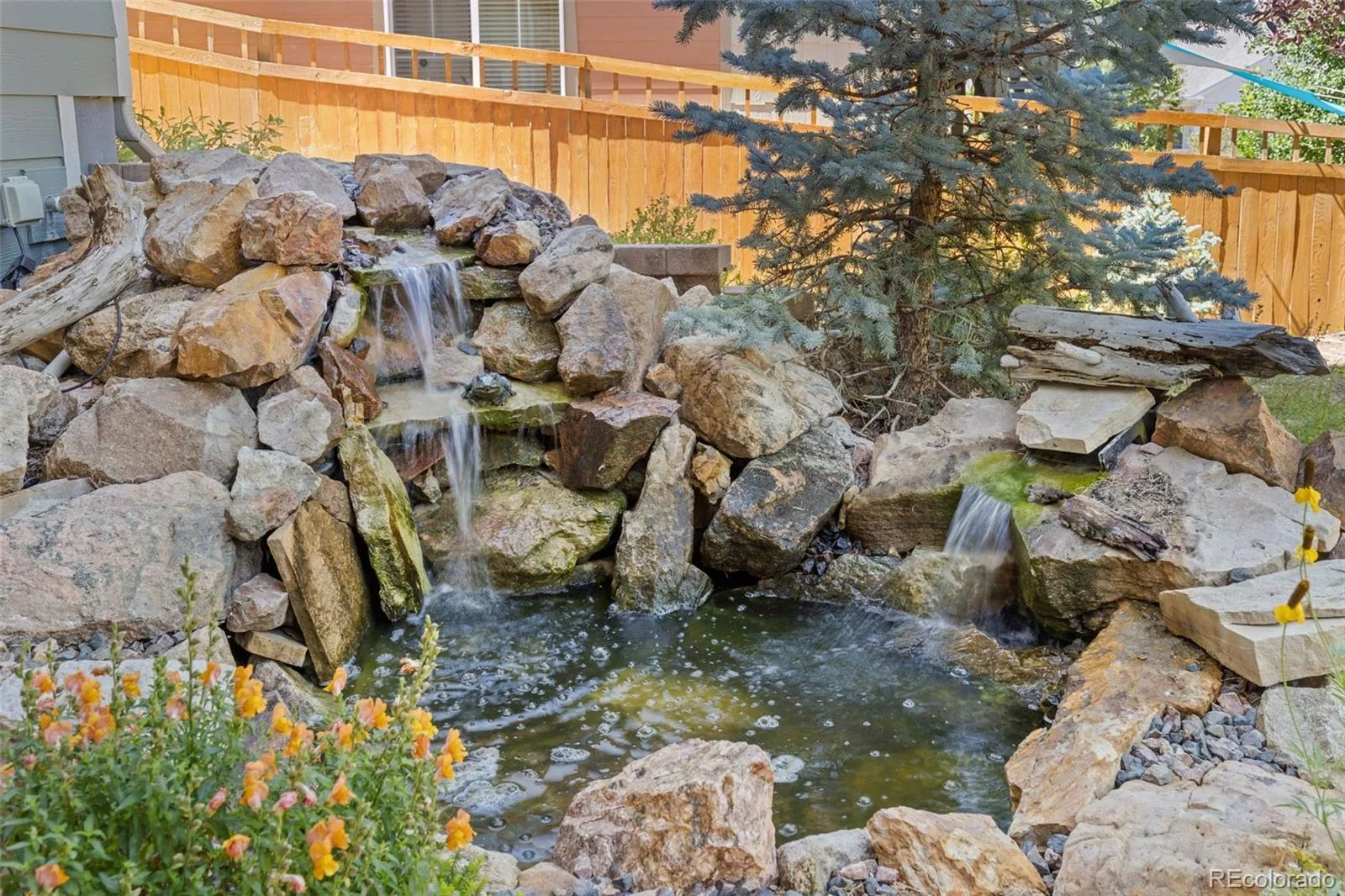 4232 Forever Circle Castle Rock CO 80109 MLS #REC6257251 07152026164241 1600 32