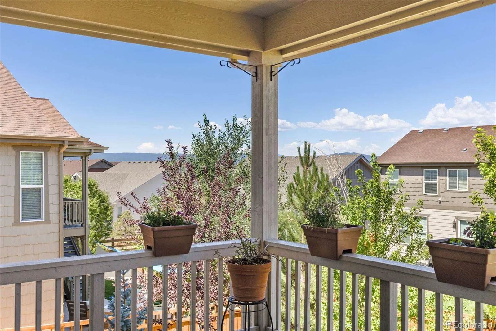 4232 Forever Circle Castle Rock CO 80109 MLS #REC6257251 07152026164241 1600 38