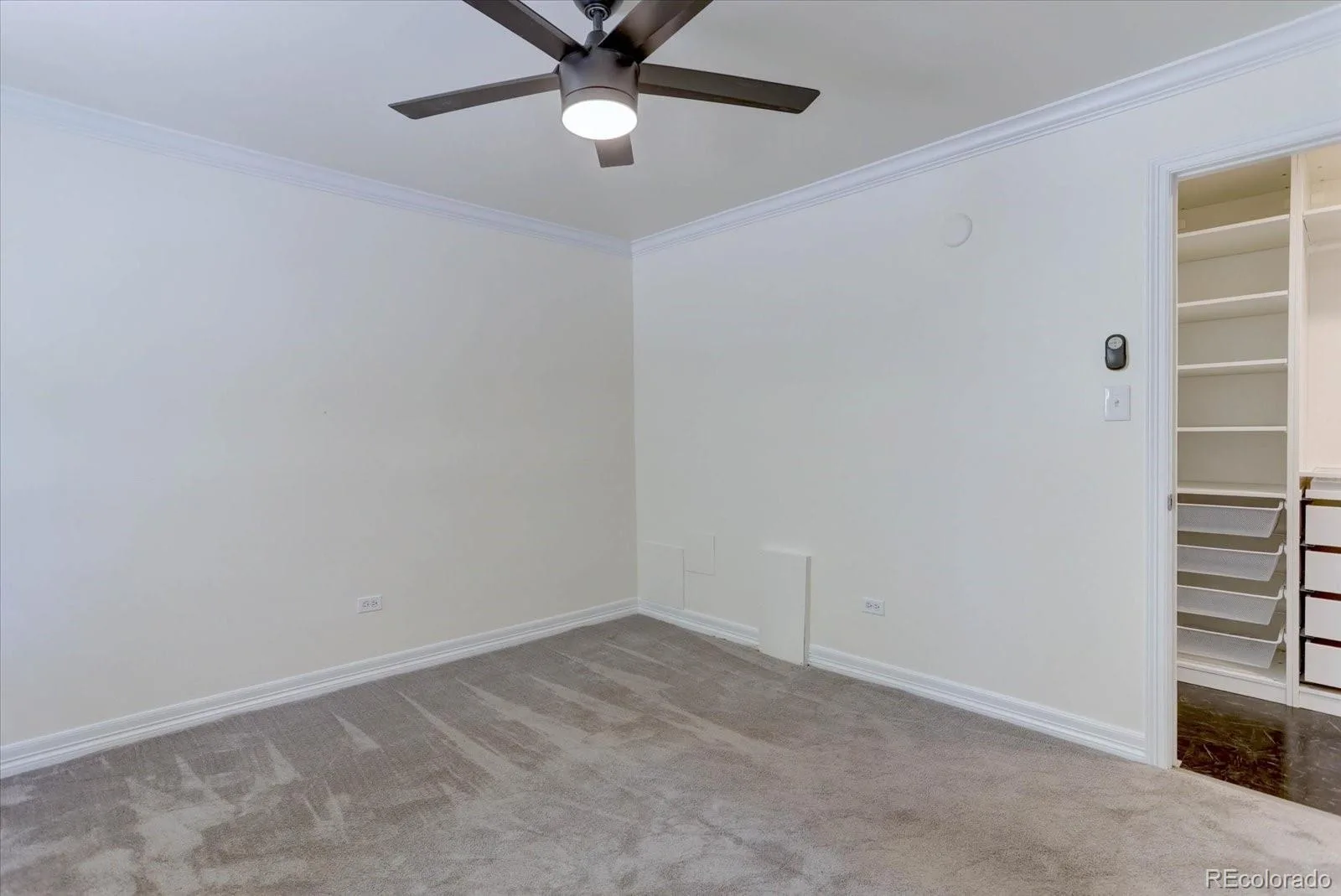 1330 Race Street #4 Denver CO 80206 | MLS #REC6258274 07312026162040 1600 13