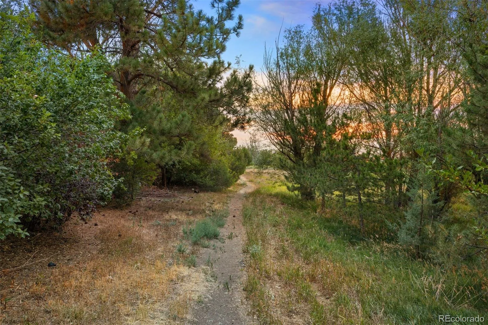 3254 S Espana Circle Aurora CO 80013 | MLS #REC6258887 08142026155428 1600 36