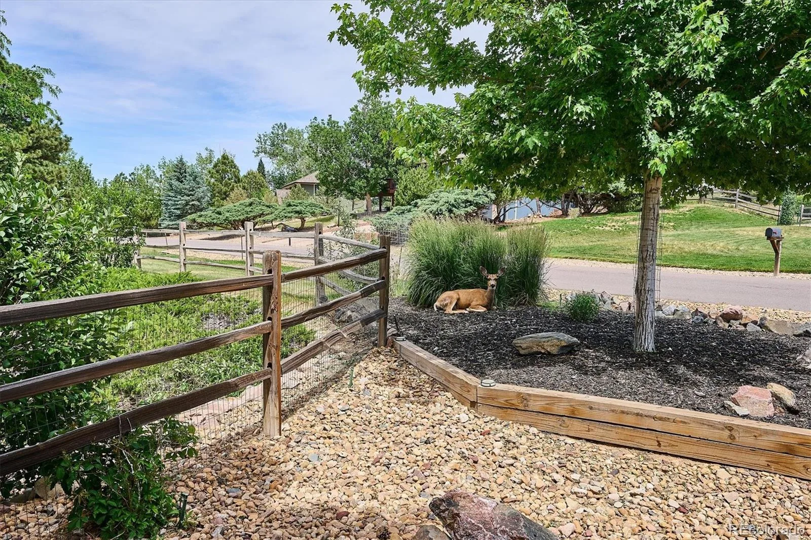 6918 Hill Court Parker CO 80134 MLS #REC6264231 06202026202336 1600 33