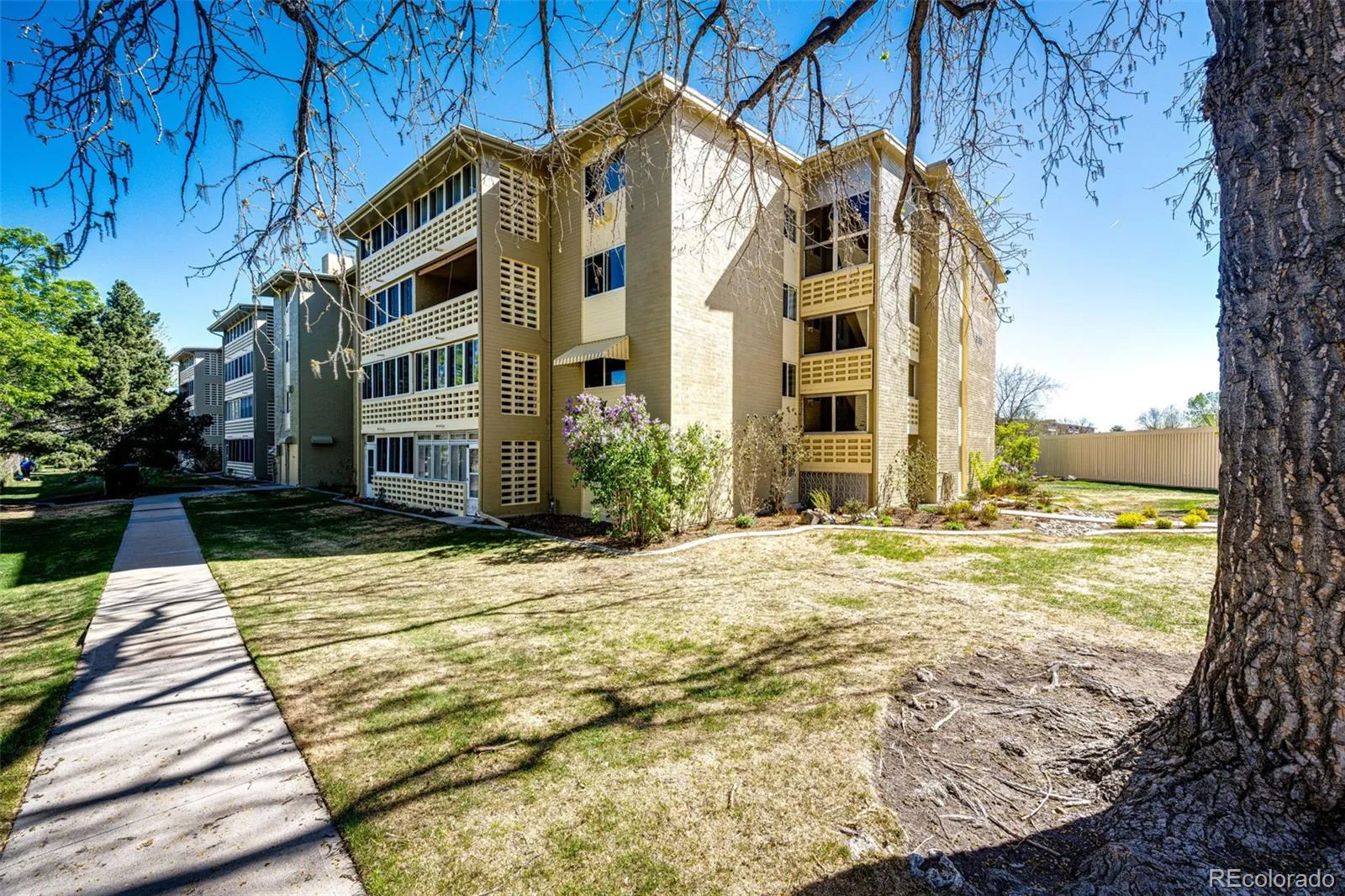 635 S Alton Way #10A Denver CO 80247 MLS #REC6265066 04162026234134 1600 19