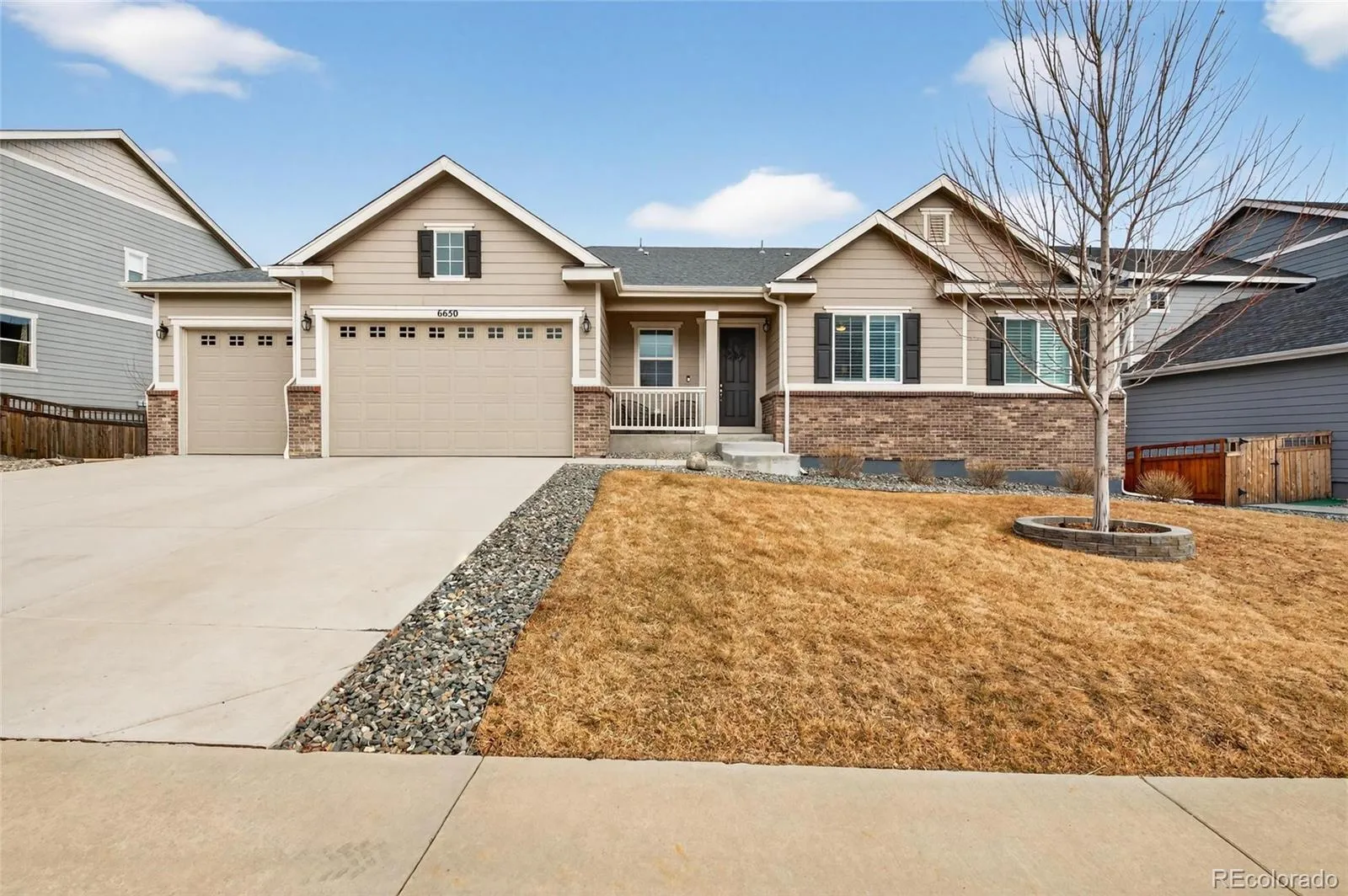 6650 Mentha Drive Castle Rock CO 80108 MLS #REC6268344 05142026171507 1600 6