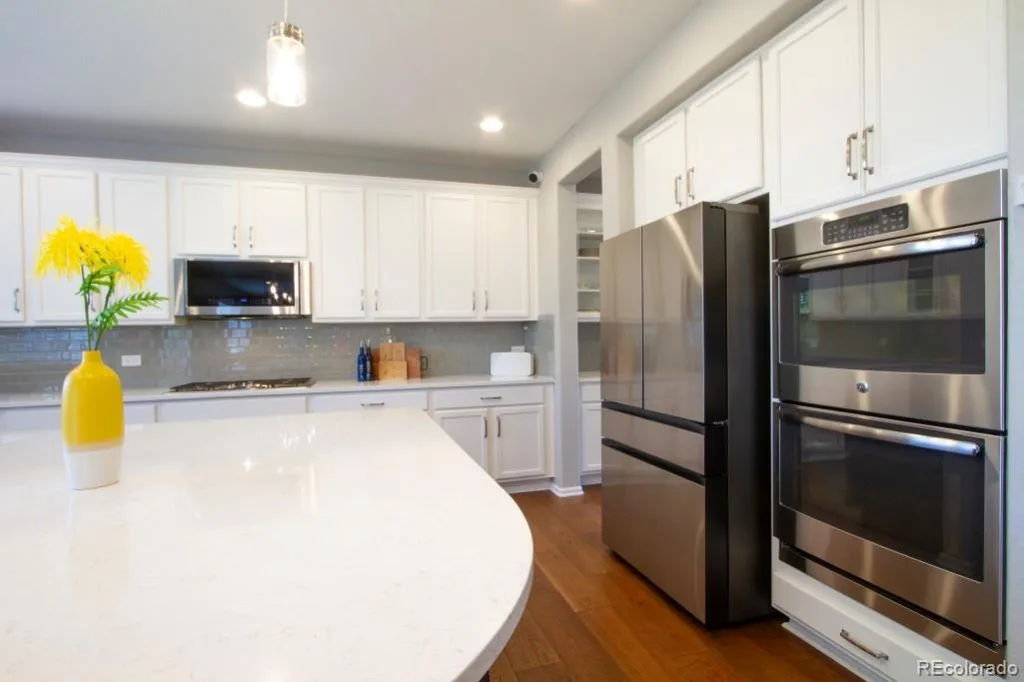 14317 Double Dutch Loop Parker CO 80134 MLS #REC6276561 07152026135601 1024 7