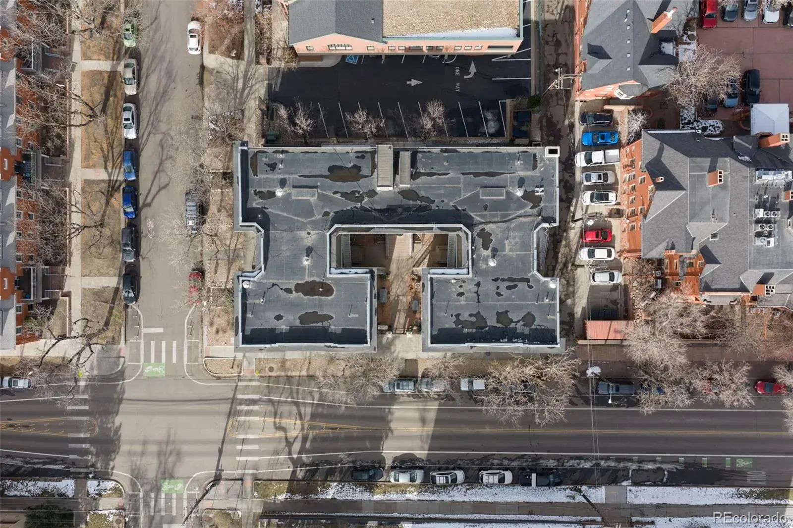 215 E 11th Avenue #D1 Denver CO 80203 MLS #REC6286800 02202026171157 1600 23