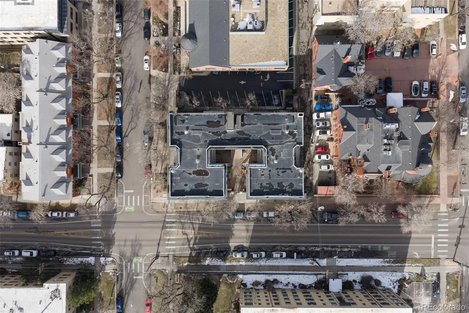 215 E 11th Avenue #D1 Denver CO 80203 MLS #REC6286800 02202026171157 1600 24
