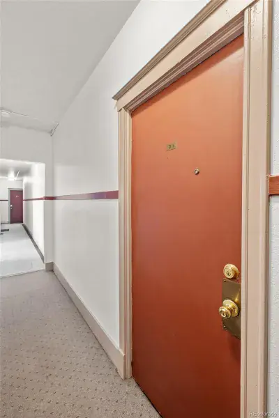 215 E 11th Avenue #D1 Denver CO 80203 MLS #REC6286800 02202026171157 800 27