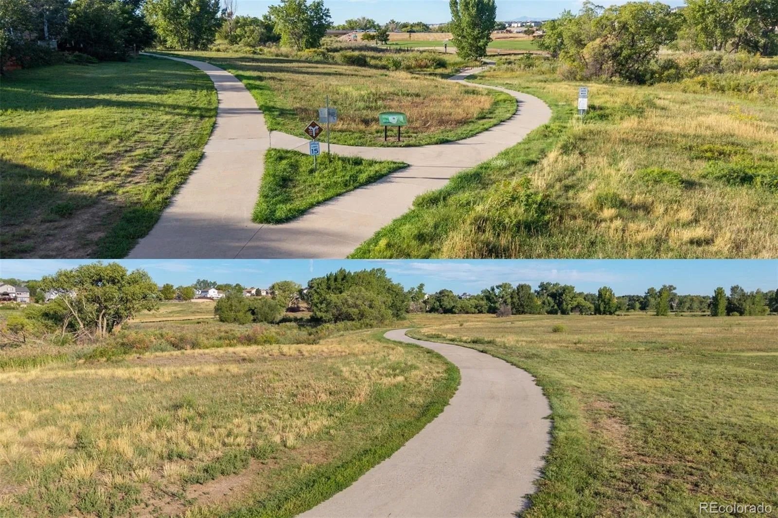 12981 S Molly Court Parker CO 80134 | MLS #REC6289172 08282026230802 1600 44