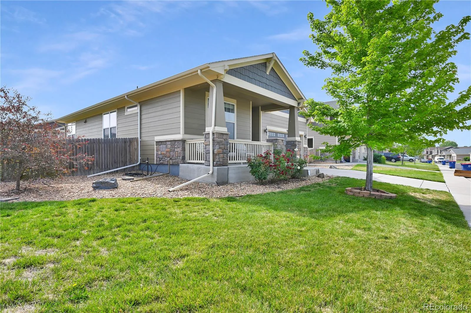 398 Beldock Street Brighton CO 80601 | MLS #REC6290866 08272026224428 1600 3