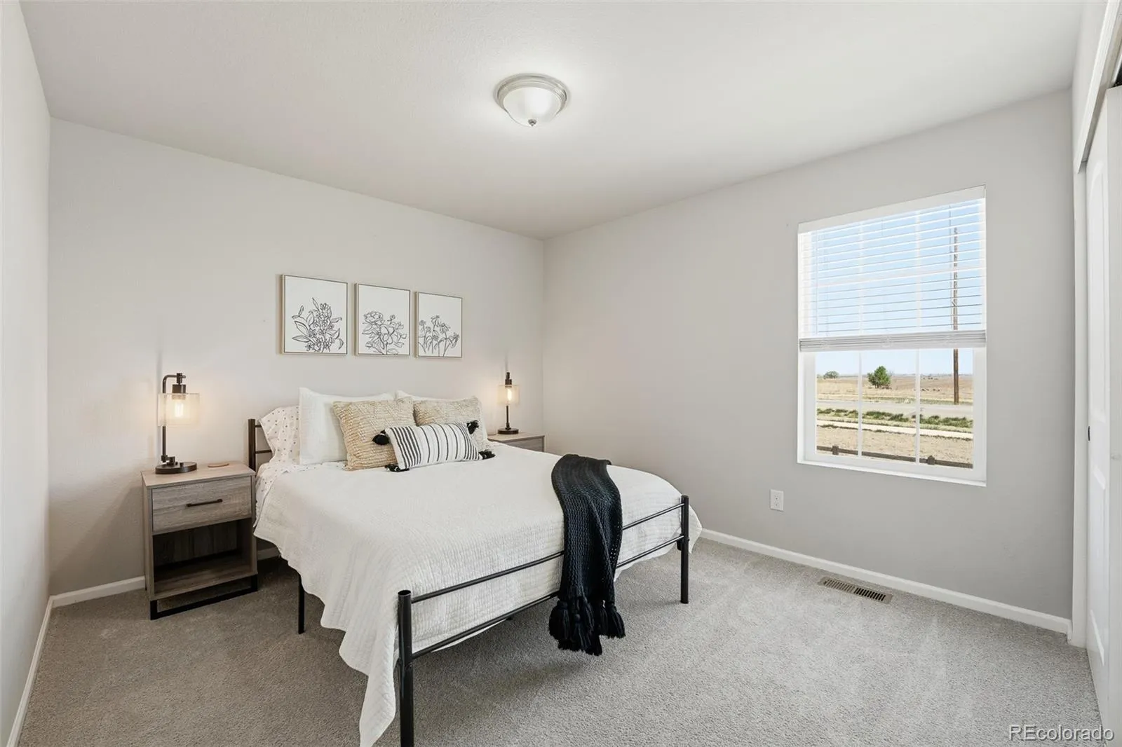 3490 Raintree Lane Dacono CO 80514 | MLS #REC6295277 04272026190800 1600 34