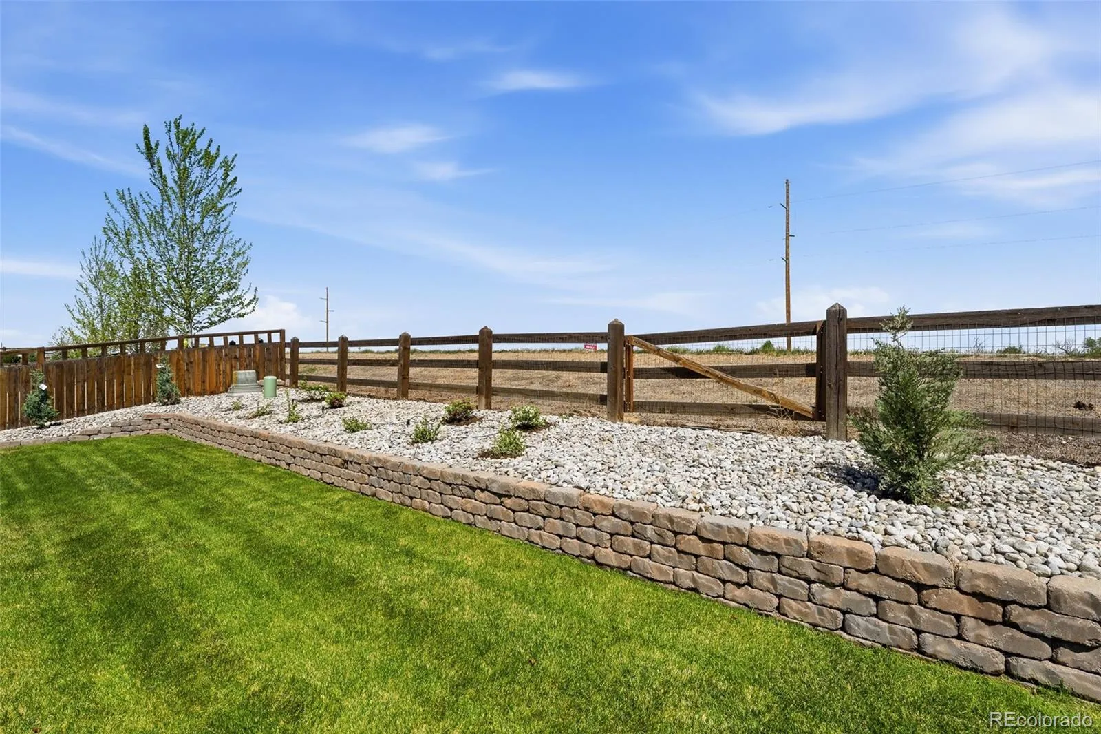 3490 Raintree Lane Dacono CO 80514 | MLS #REC6295277 04272026190800 1600 41